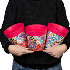 15cm pink flowers and bees plastic flowerpots set of 3