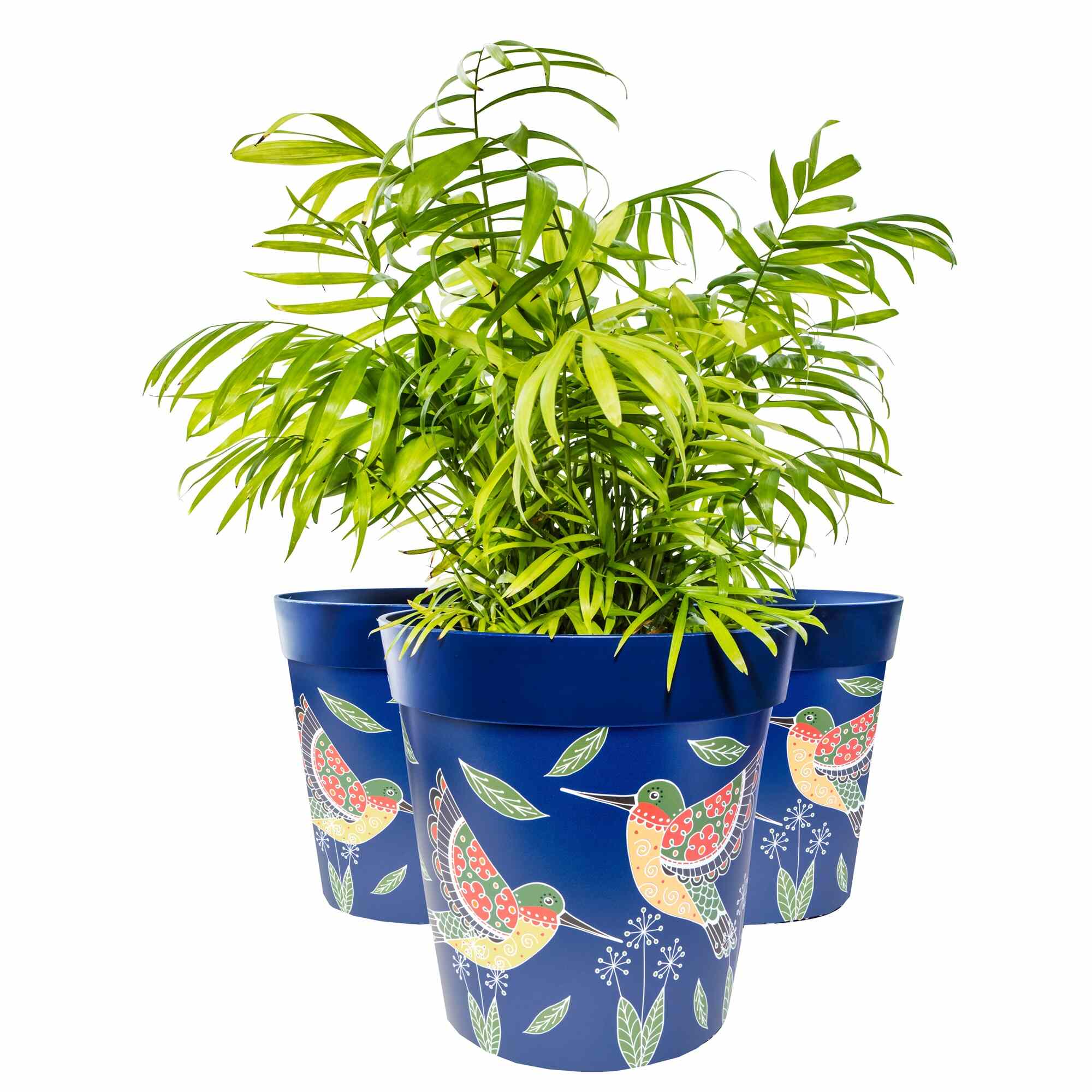 Picture of 3 Plastic Large 25cm Blue Hummingbird Pattern Plastic Indoor/Outdoor Flowerpots