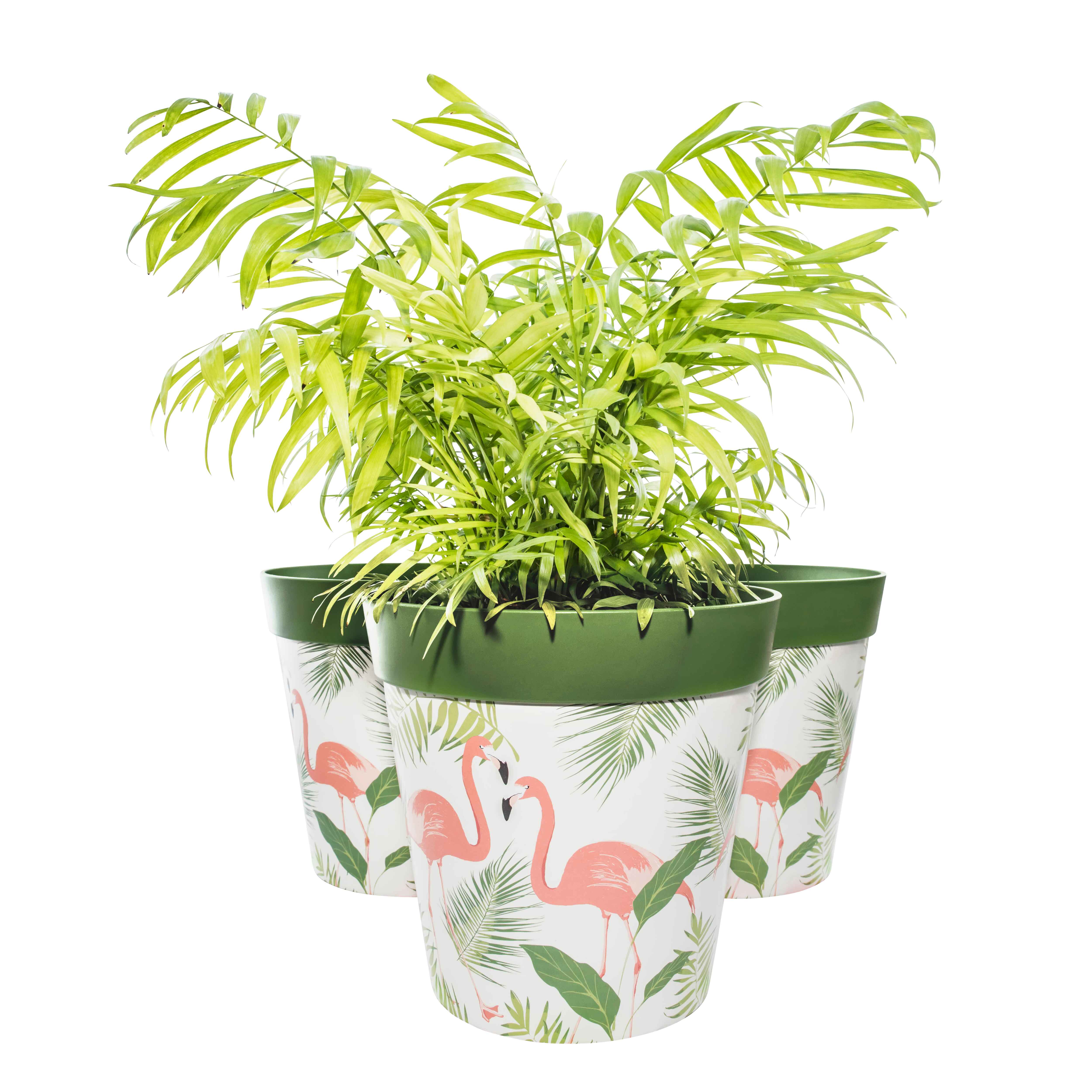 Picture of 3 Planted Large 25cm Green Flamingo Leaves Plastic Indoor/Outdoor Flowerpots
