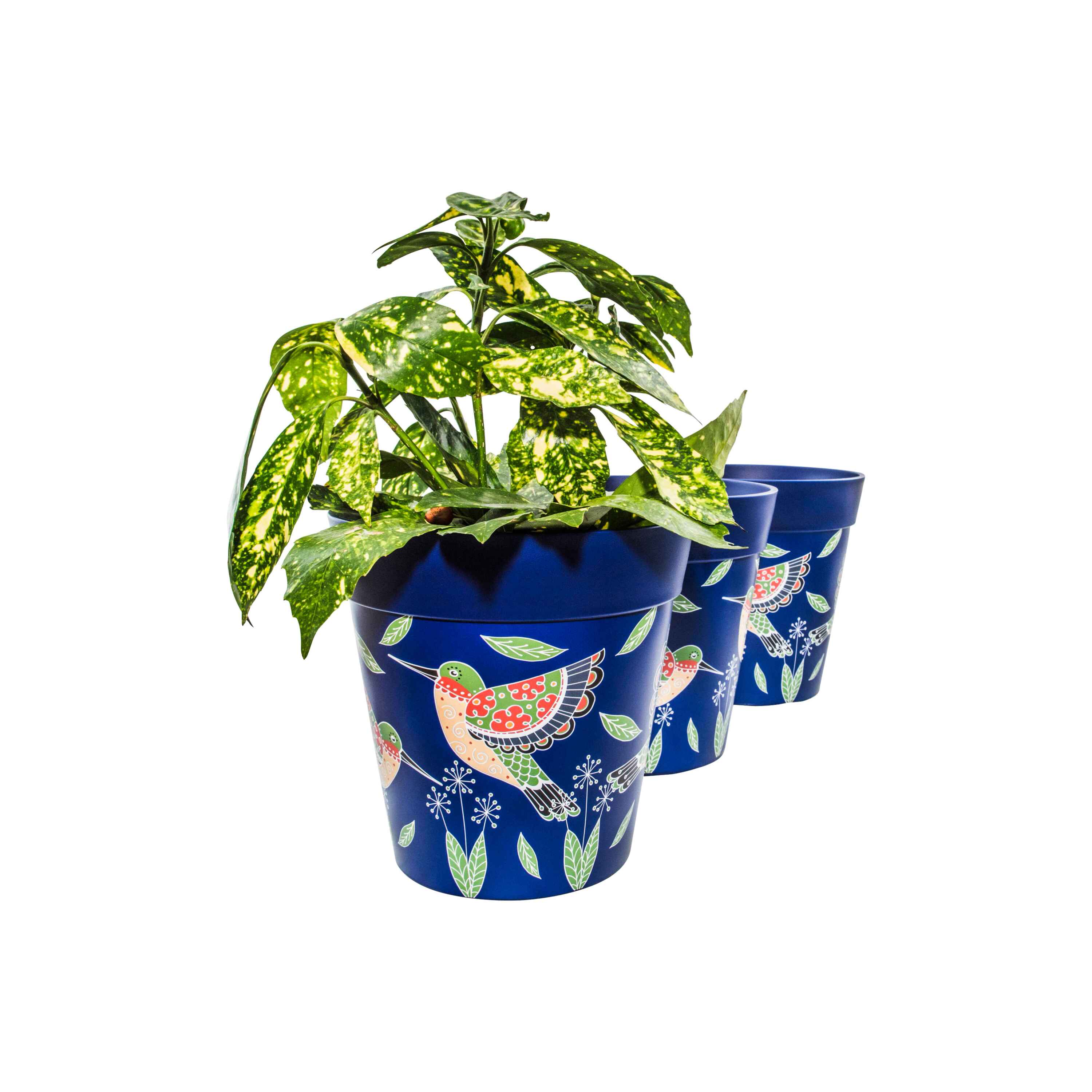 Picture of 3 Planted Medium 22cm Plastic Blue Hummingbird Indoor/Outdoor Flowerpots
