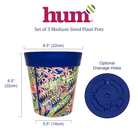 infographic showing plant pot dimensions and base