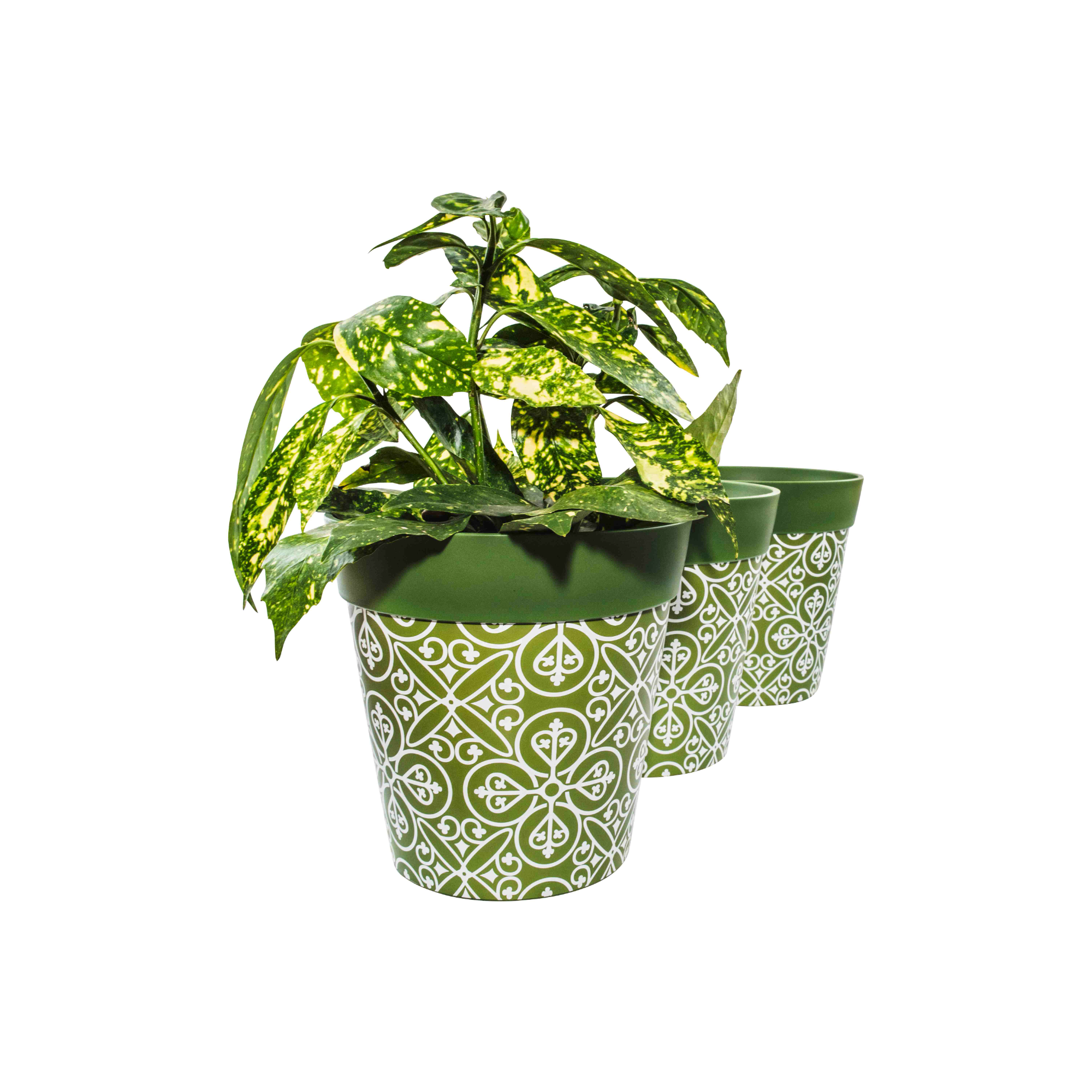 Picture of 3 Planted Medium 22cm Green Moroccan Style Plastic Indoor/Outdoor Flowerpots