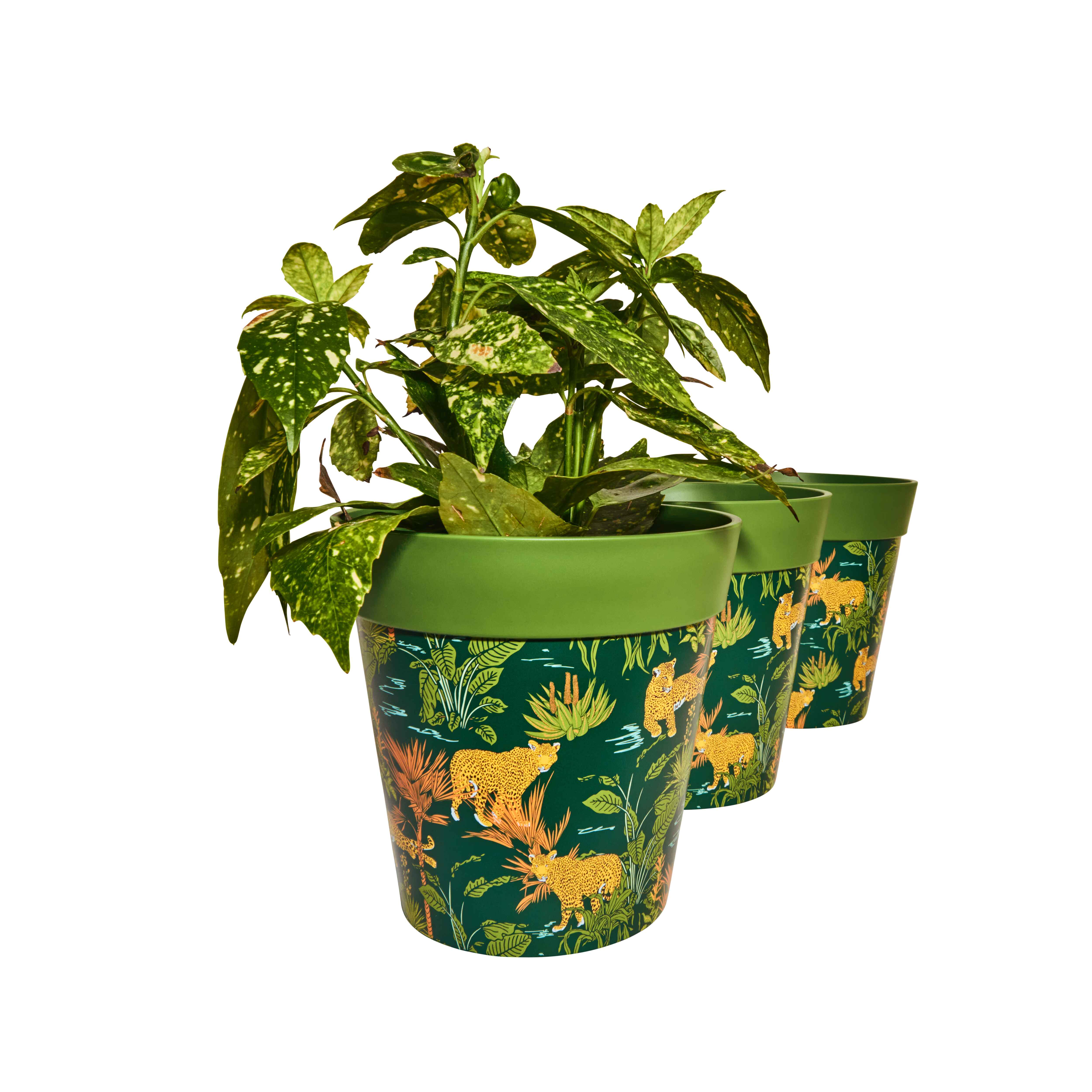 Picture of 3 Planted Medium 22cm Plastic Green Jungle Leopards Pattern Indoor/Outdoor Flowerpots