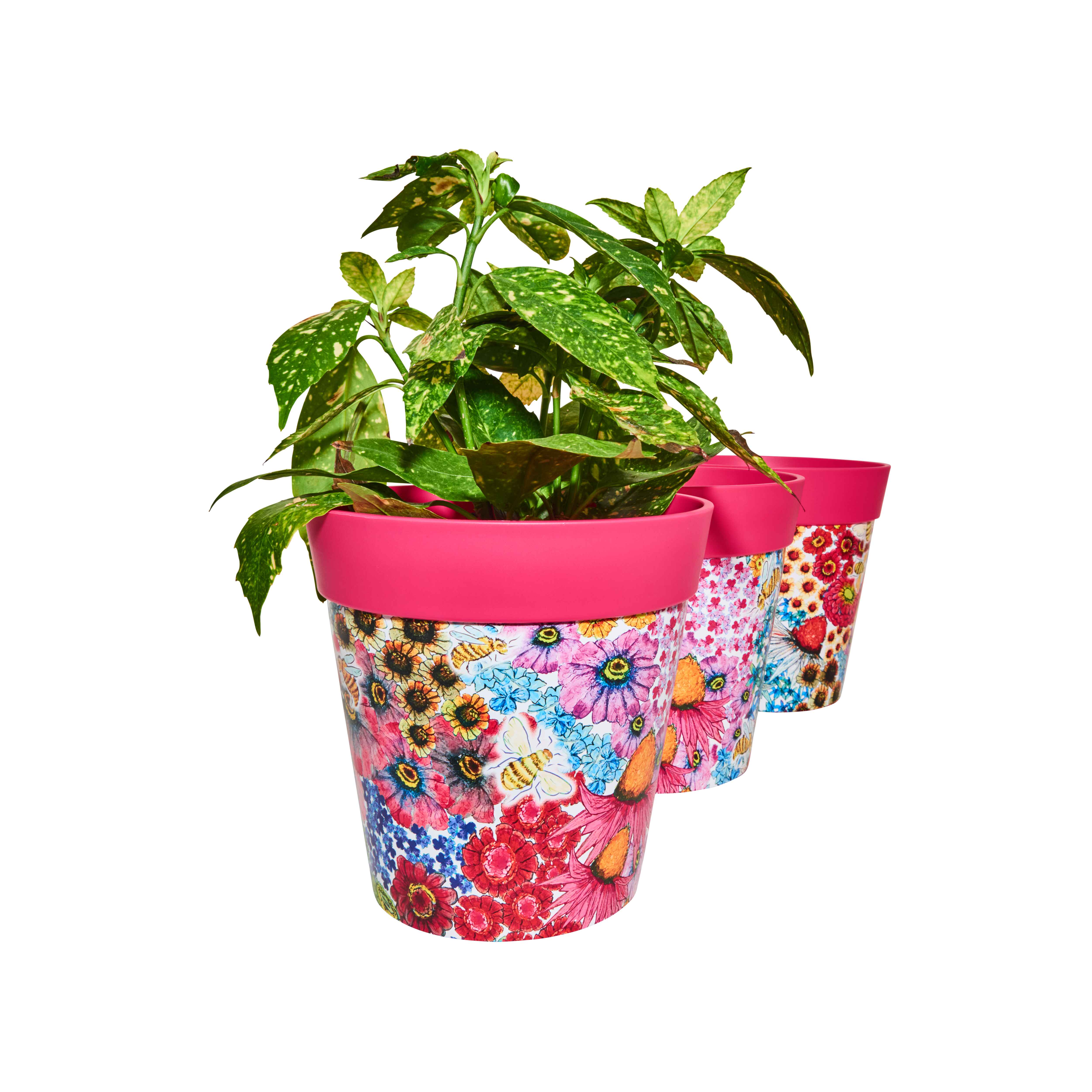 Picture of 3 Planted Medium 22cm Plastic Pink Flowers and Bees Pattern Indoor/Outdoor Flowerpots