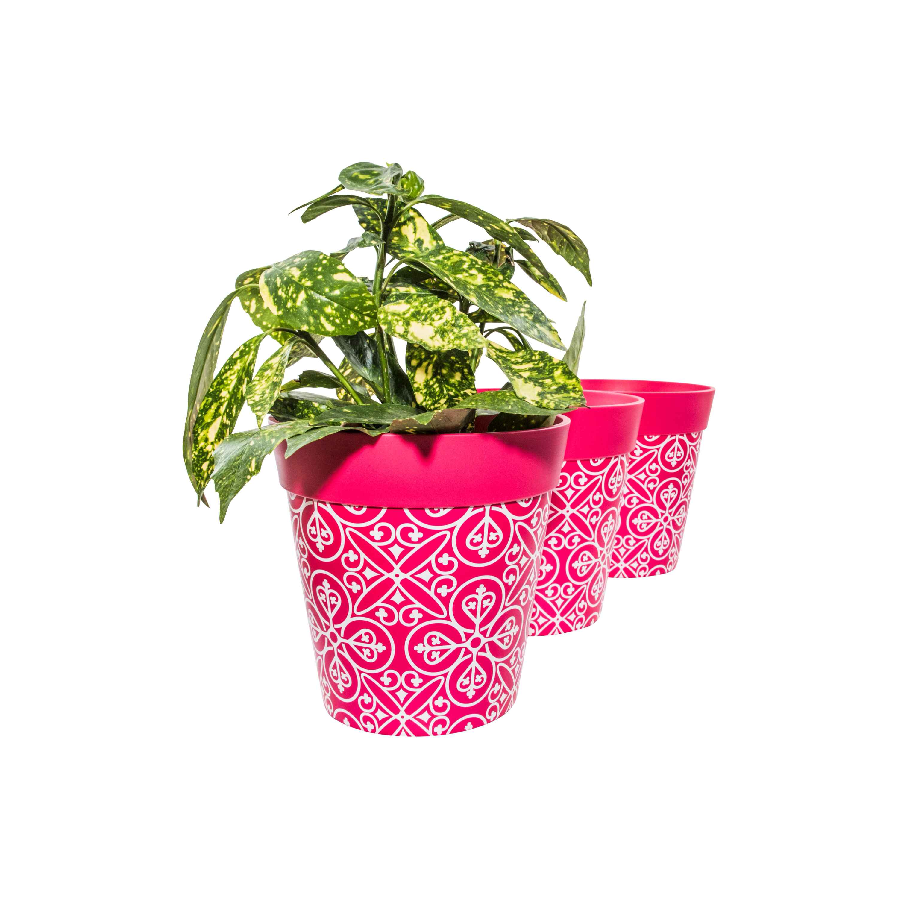 Picture of 3 Planted Medium 22cm Plastic Pink Moroccan Style Indoor/Outdoor Flowerpots