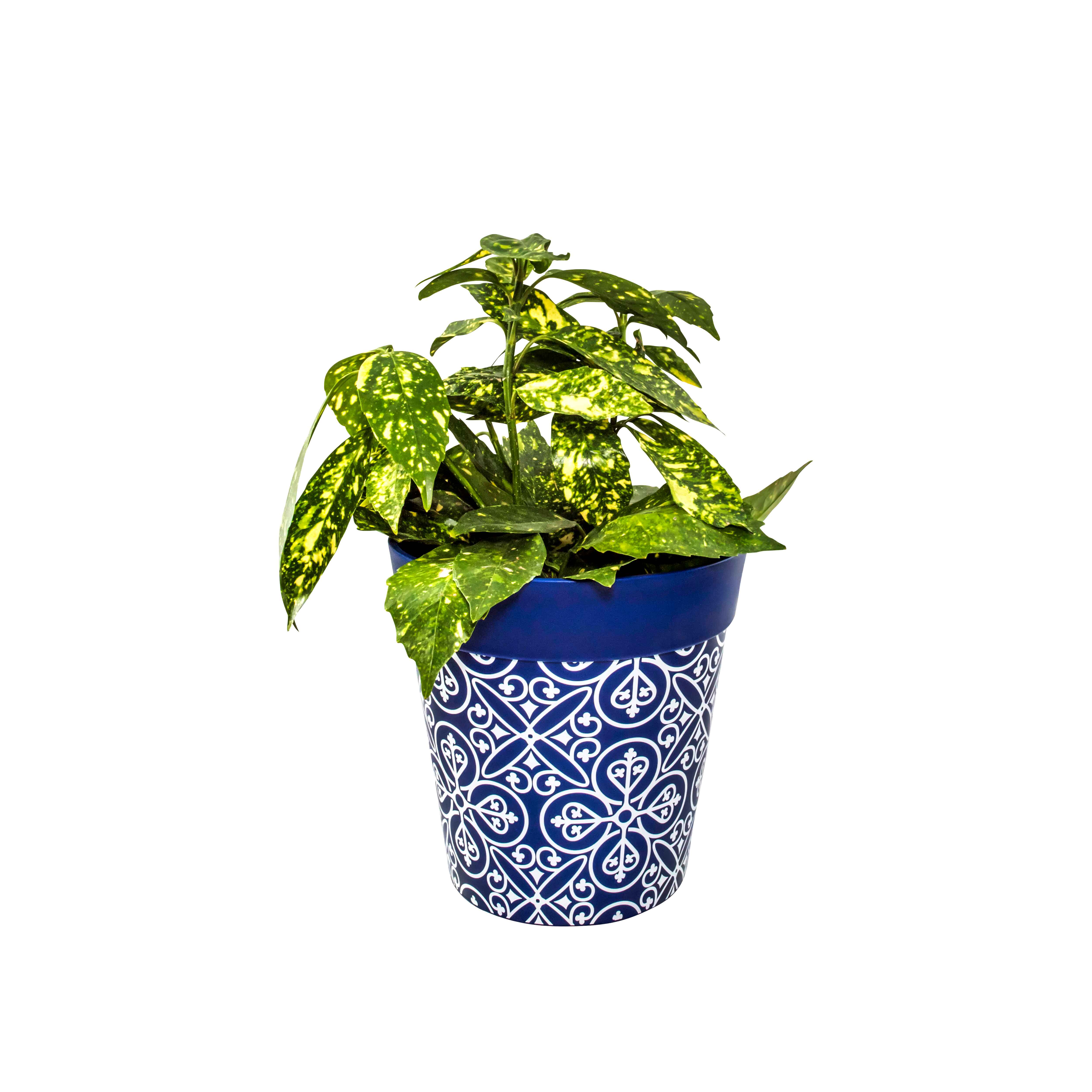 Picture of Medium 22cm Planted Blue Moroccan Style Plastic Indoor/Outdoor Flowerpot