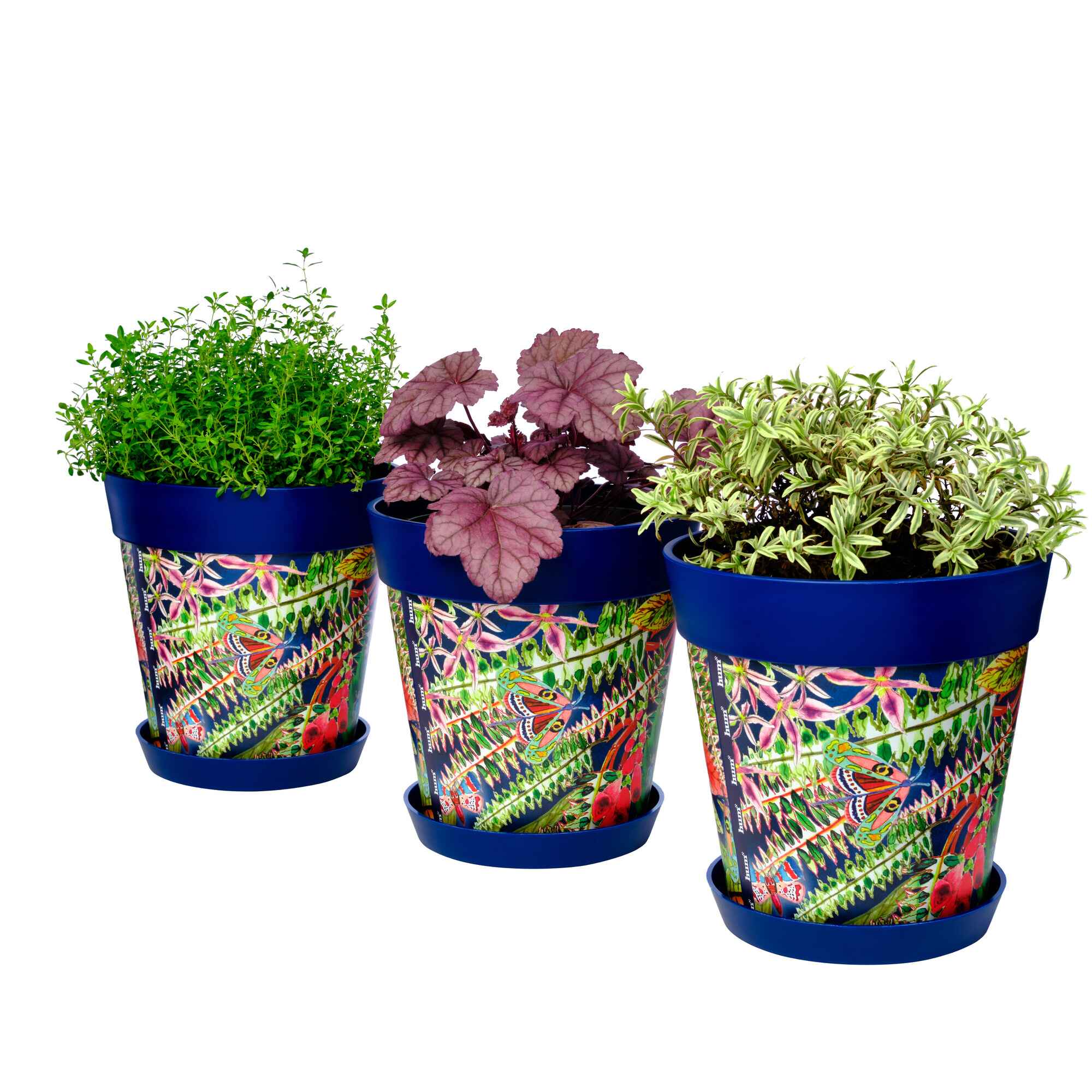Picture of 3 Planted Medium 22cm Blue Leaves and Butterflies Pattern Indoor/Outdoor Flower Pot and Saucers