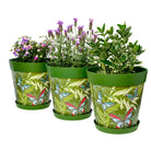 Picture of 3 Planted Large 25cm Green Butterflies and Palm Leaves Pattern Indoor/Outdoor Flower Pot and Saucers