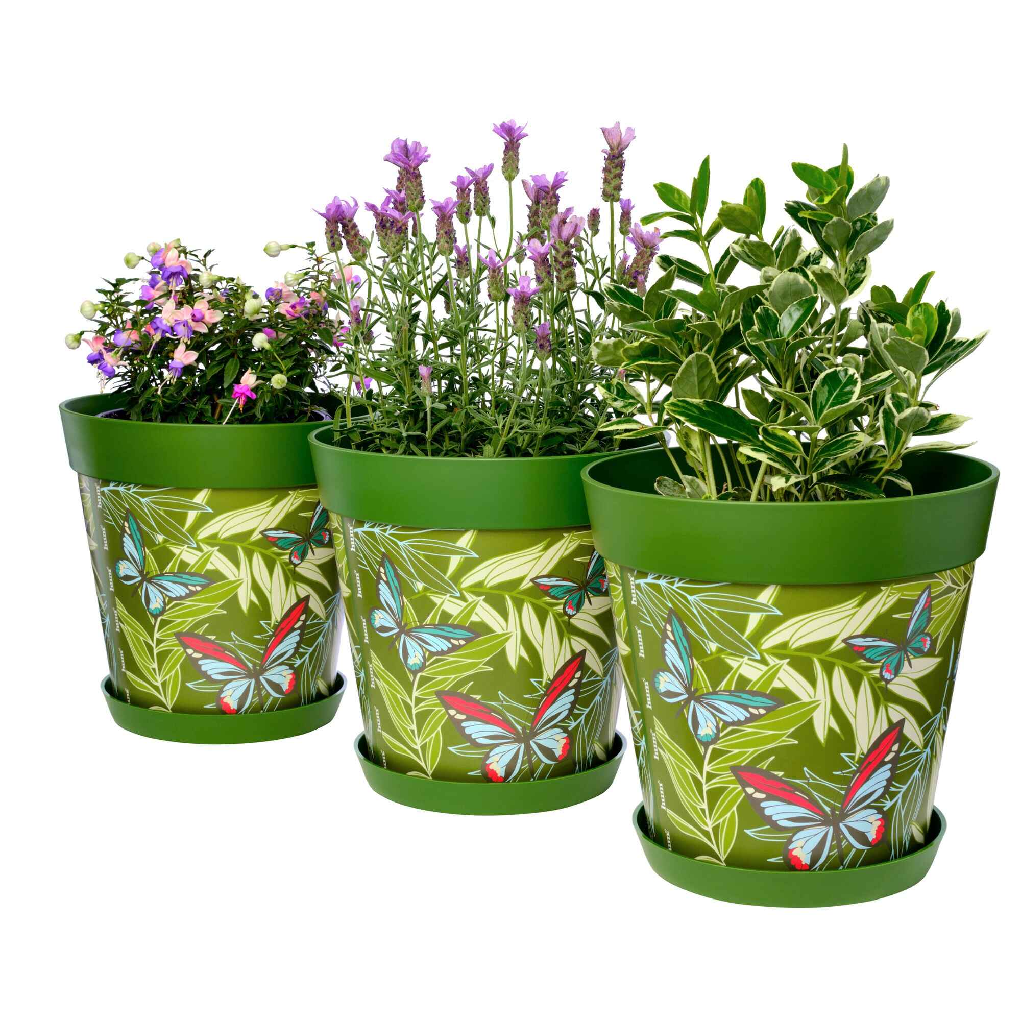 Picture of 3 Planted Large 25cm Green Butterflies and Palm Leaves Pattern Indoor/Outdoor Flower Pot and Saucers