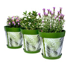 Picture of 3 Planted Large 25cm Green Fern Leaves Pattern Indoor/Outdoor Flower Pot and Saucers