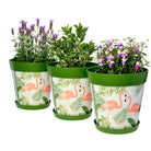 Picture of 3 Planted Large 25cm Green Flamingos Pattern Indoor/Outdoor Flower Pot and Saucers