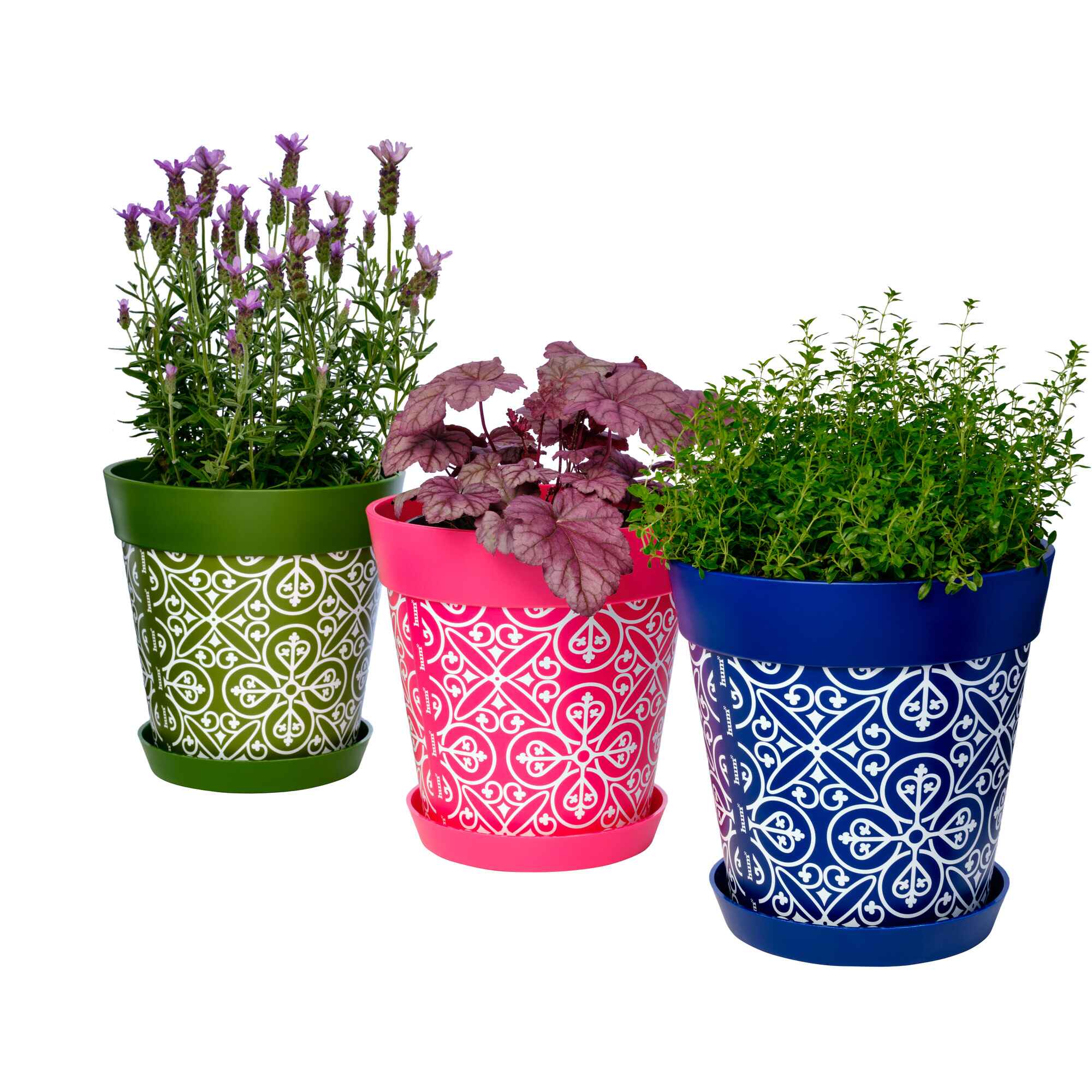 Picture of 3 Planted Medium 22cm Plastic Multi Colour Moroccan Style Indoor/Outdoor Flowerpots with Saucers