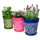 Picture of 3 Large 25cm Planted Plastic Multi Colour Moroccan Style Indoor/Outdoor Flowerpots with Saucers