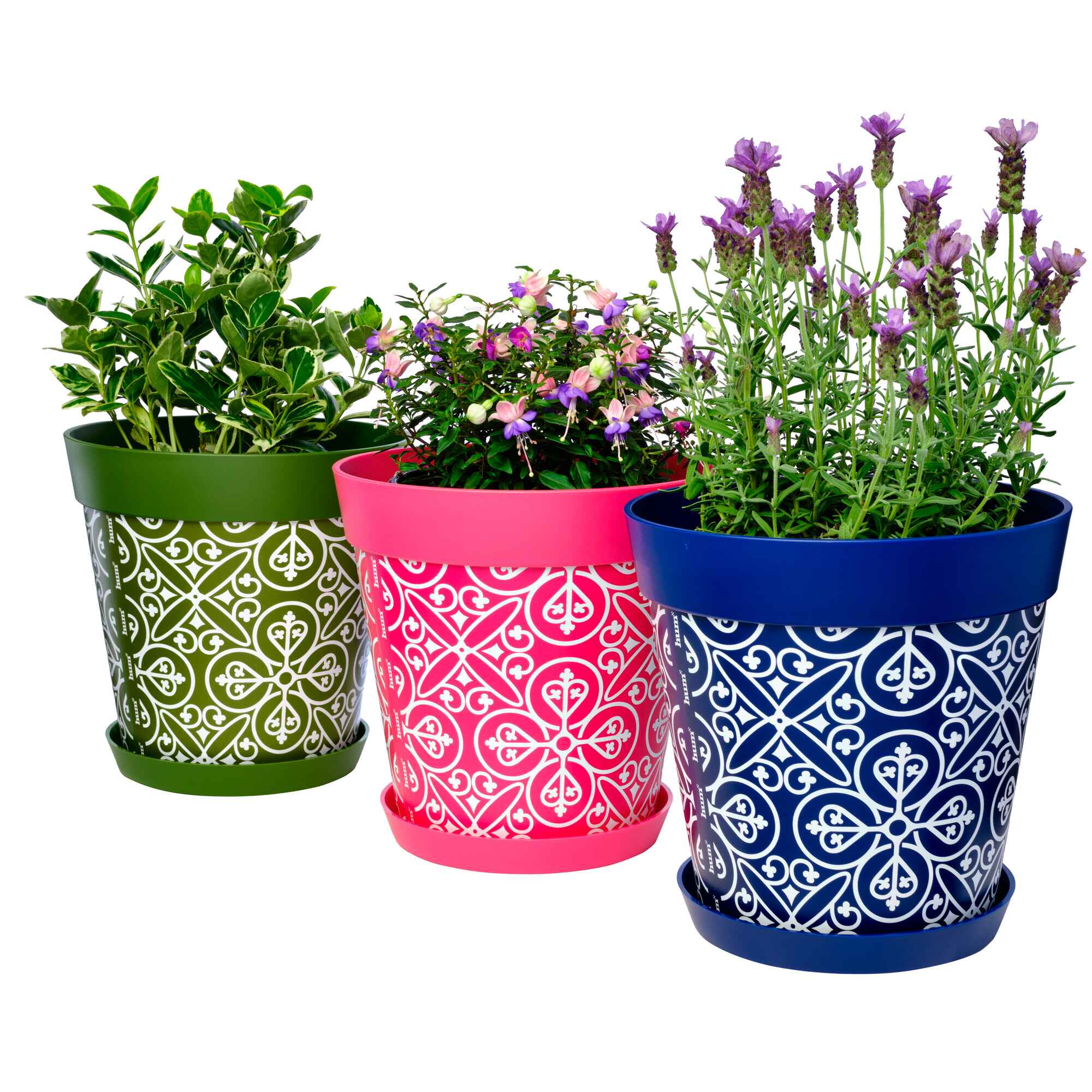 Picture of 3 Large 25cm Planted Plastic Multi Colour Moroccan Style Indoor/Outdoor Flowerpots with Saucers