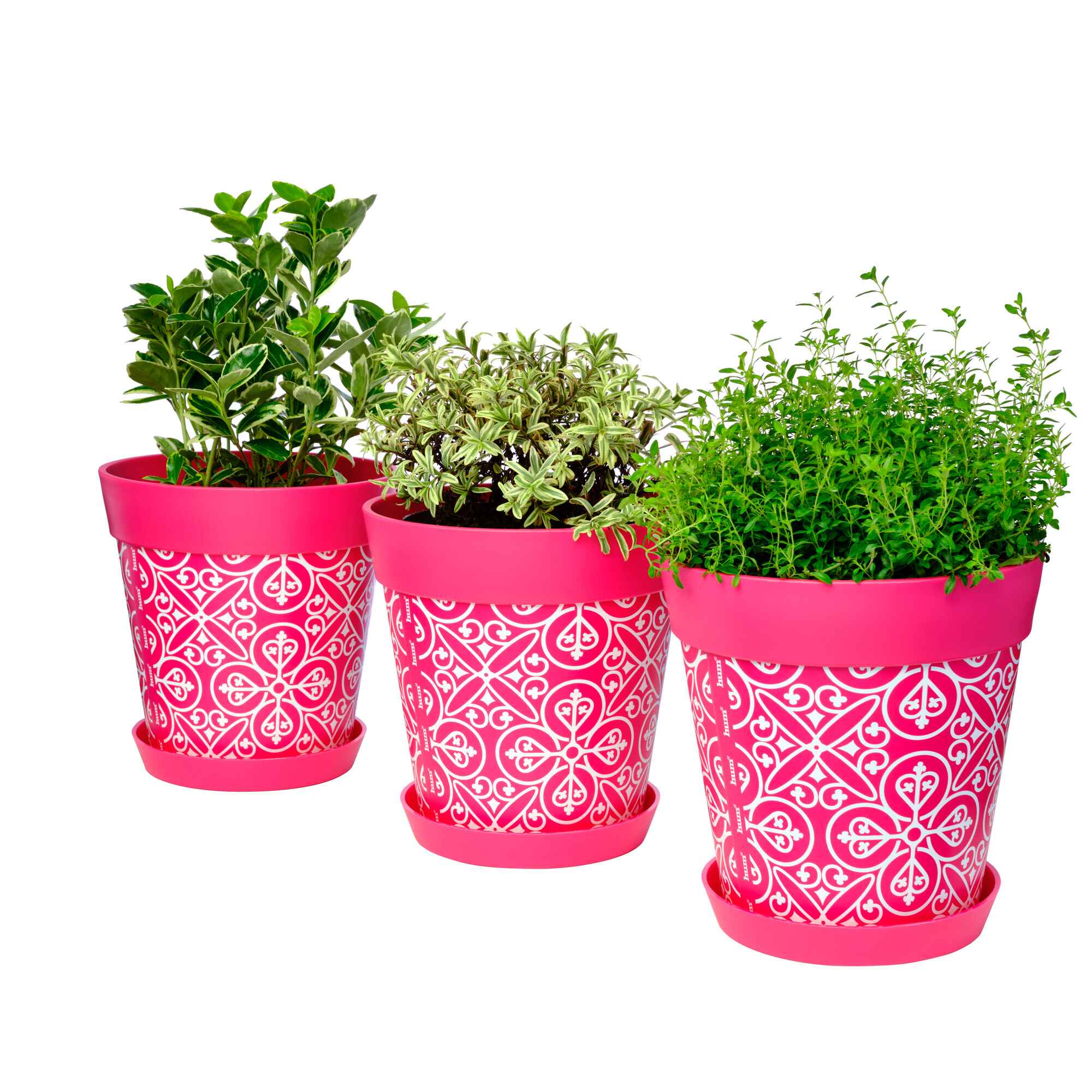 Picture of 3 Medium 22cm Planted Plastic Pink Moroccan Style Indoor/Outdoor Flowerpots with Saucers