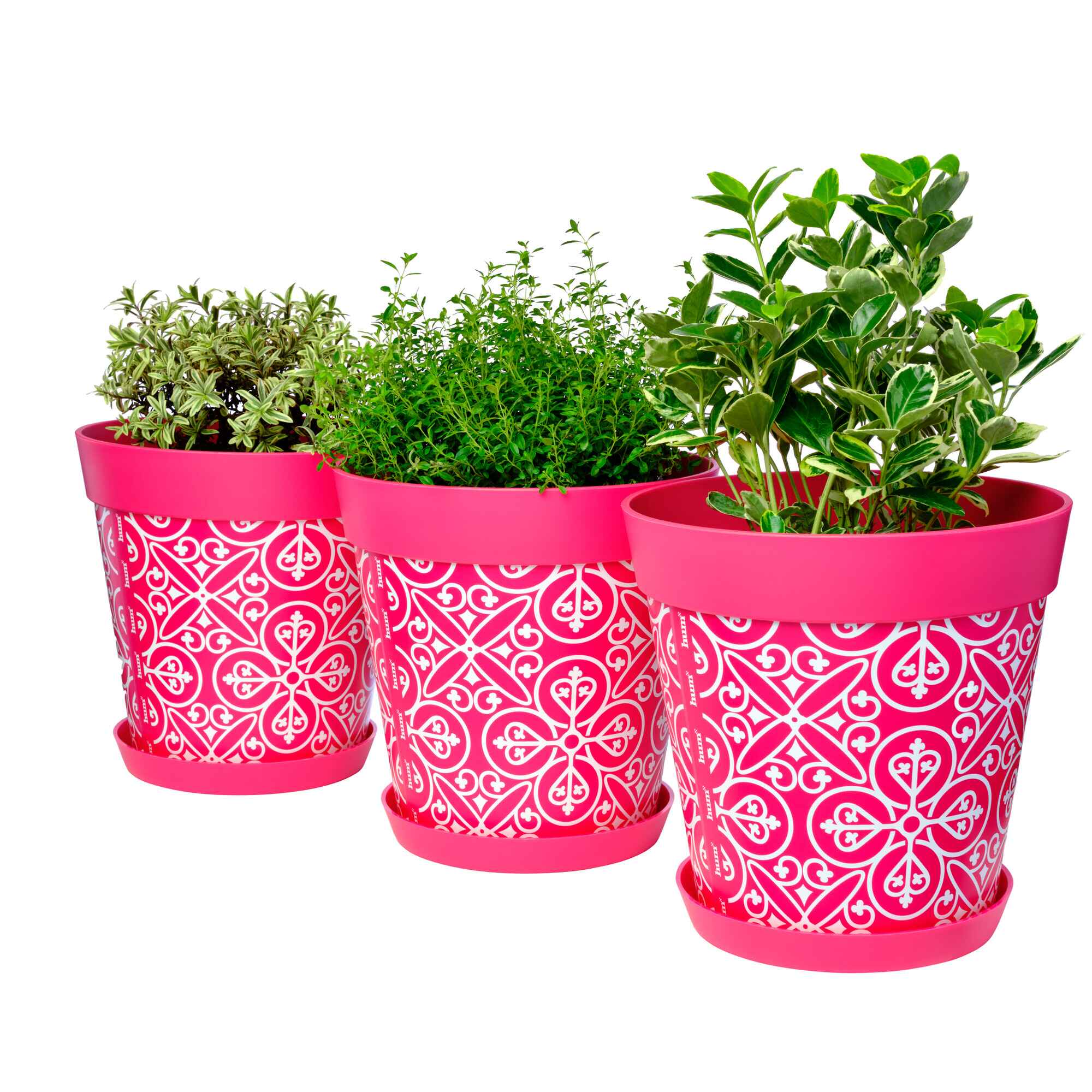 Picture of 3 Medium 22cm Planted Plastic Pink Moroccan Style Indoor/Outdoor Flowerpots with Saucers