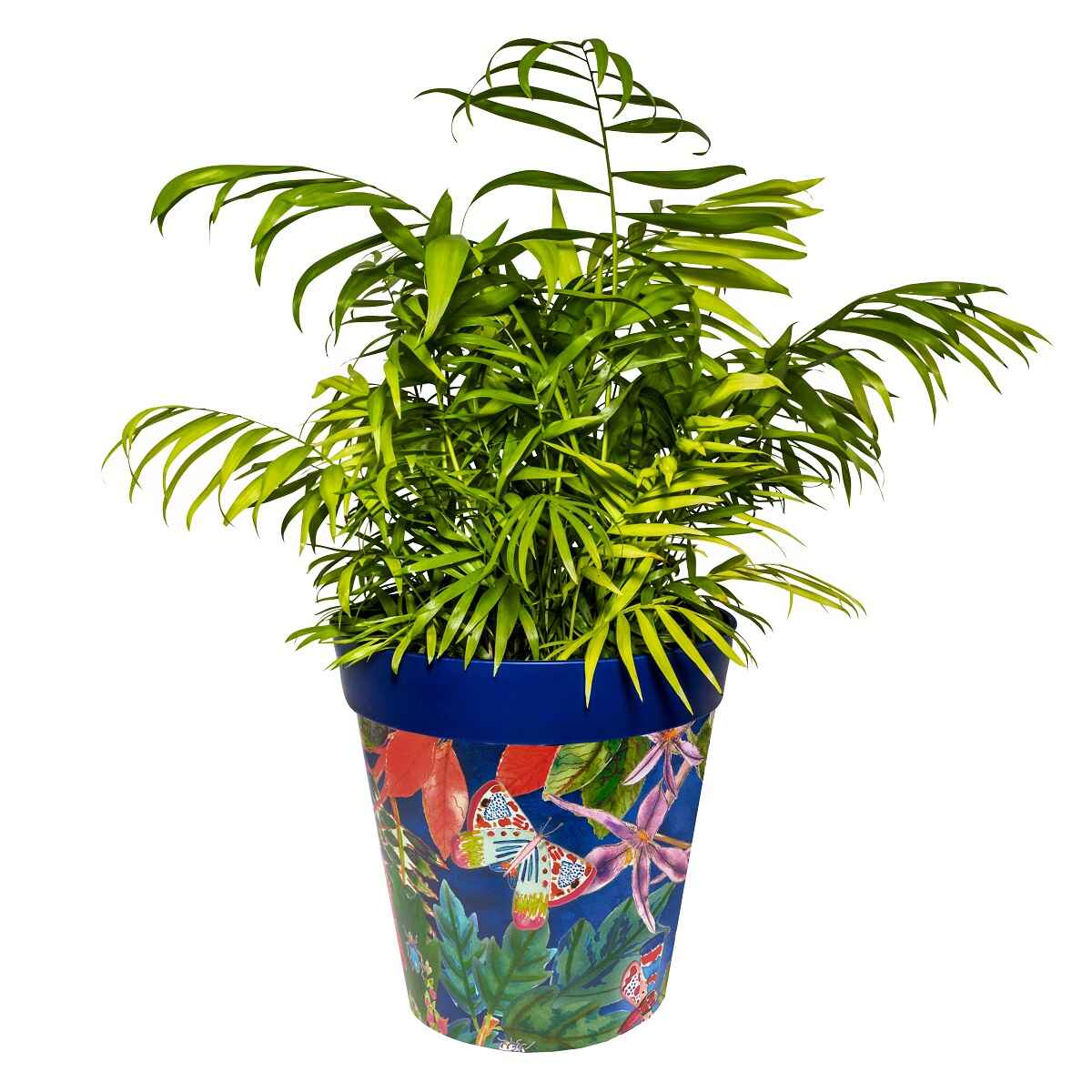 Picture of Large 25cm Planted Blue Leaves and Butterflies Pattern Plastic Indoor/Outdoor Flowerpot 