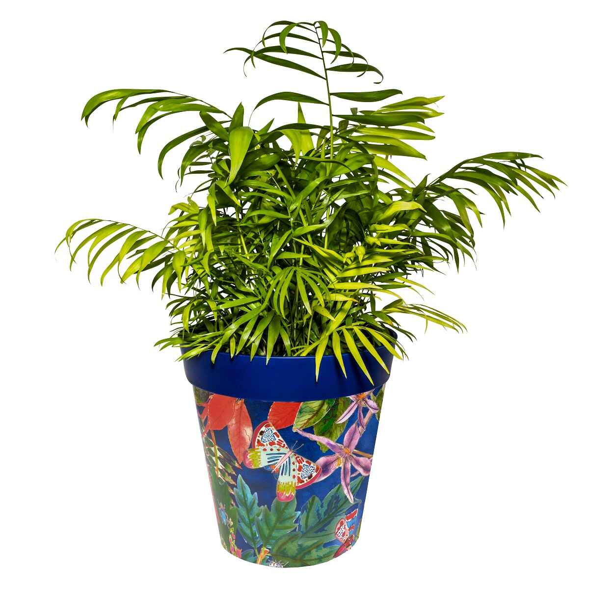 Picture of Large 25cm Planted Blue Leaves and Butterflies Pattern Plastic Indoor/Outdoor Flowerpot