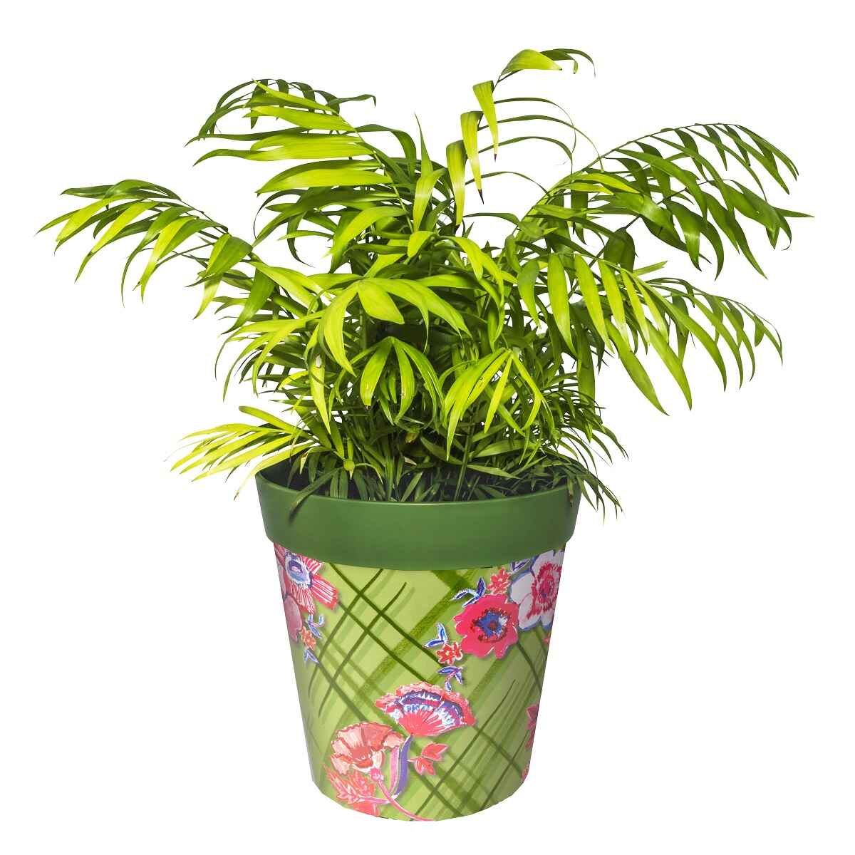 Picture of Planted Large 25cm  Green Trellis and Flowers  Pattern Plastic Indoor/Outdoor Flowerpot