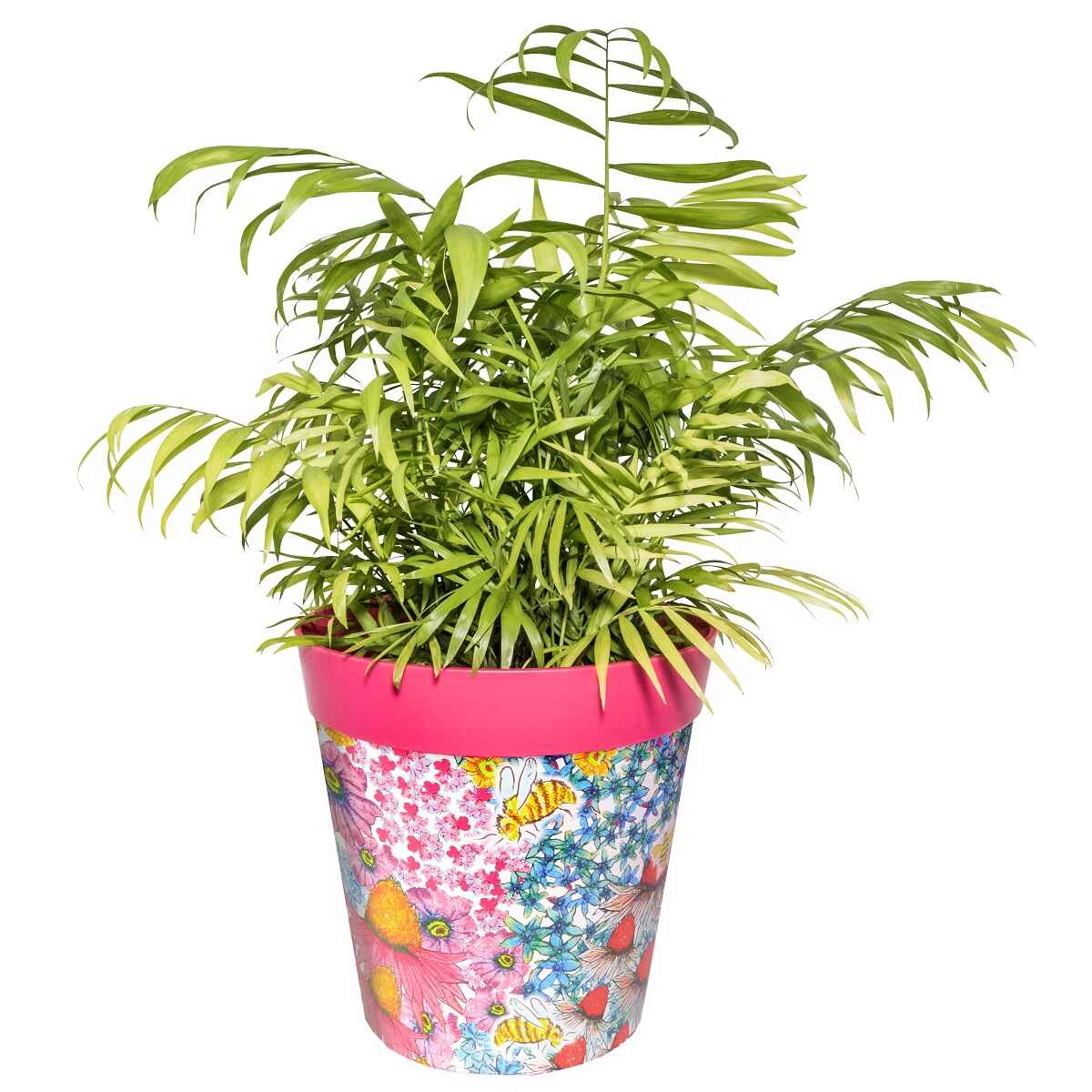 Picture of Large 25cm Planted Plastic Pink Flowers and Bees Pattern Indoor/Outdoor Flower Pots