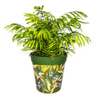 Picture of Planted Large 25cm Green Butterfly and Palm Leaves  Pattern Plastic Indoor/Outdoor Flowerpot