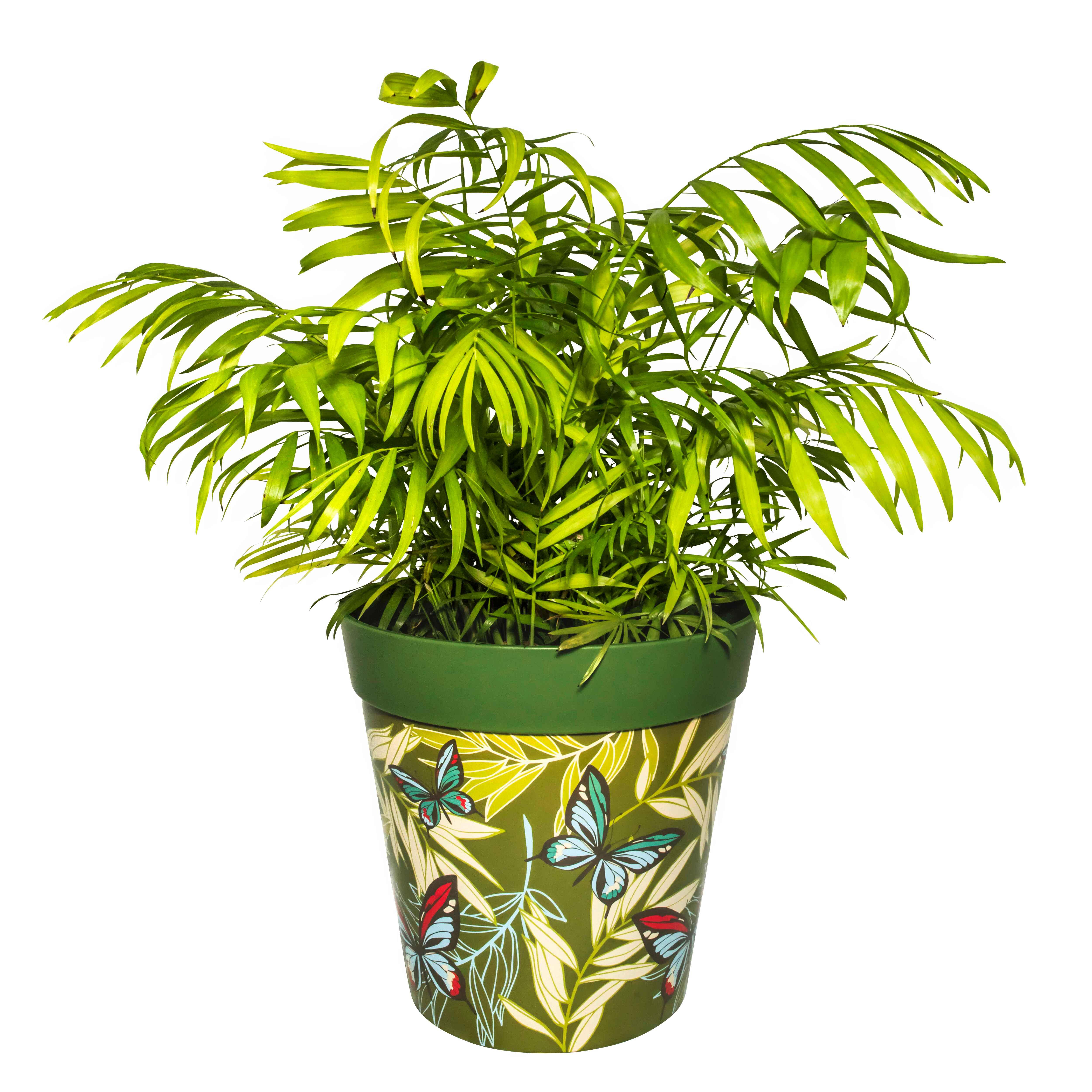Picture of Planted Large 25cm Green Butterfly and Palm Leaves  Pattern Plastic Indoor/Outdoor Flowerpot