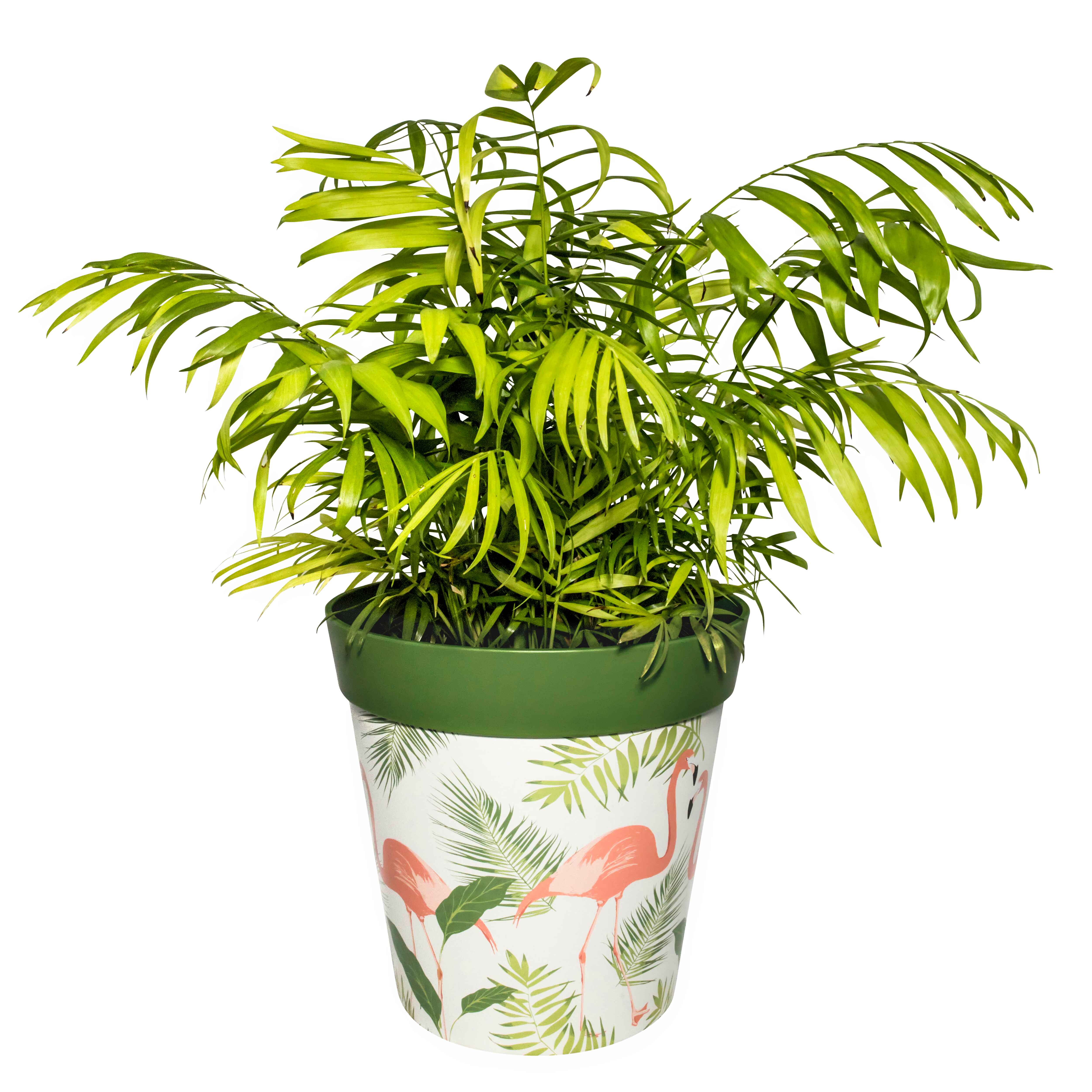 Picture of Planted Large 25cm Green Flamingo Pattern Plastic Indoor/Outdoor Flowerpot