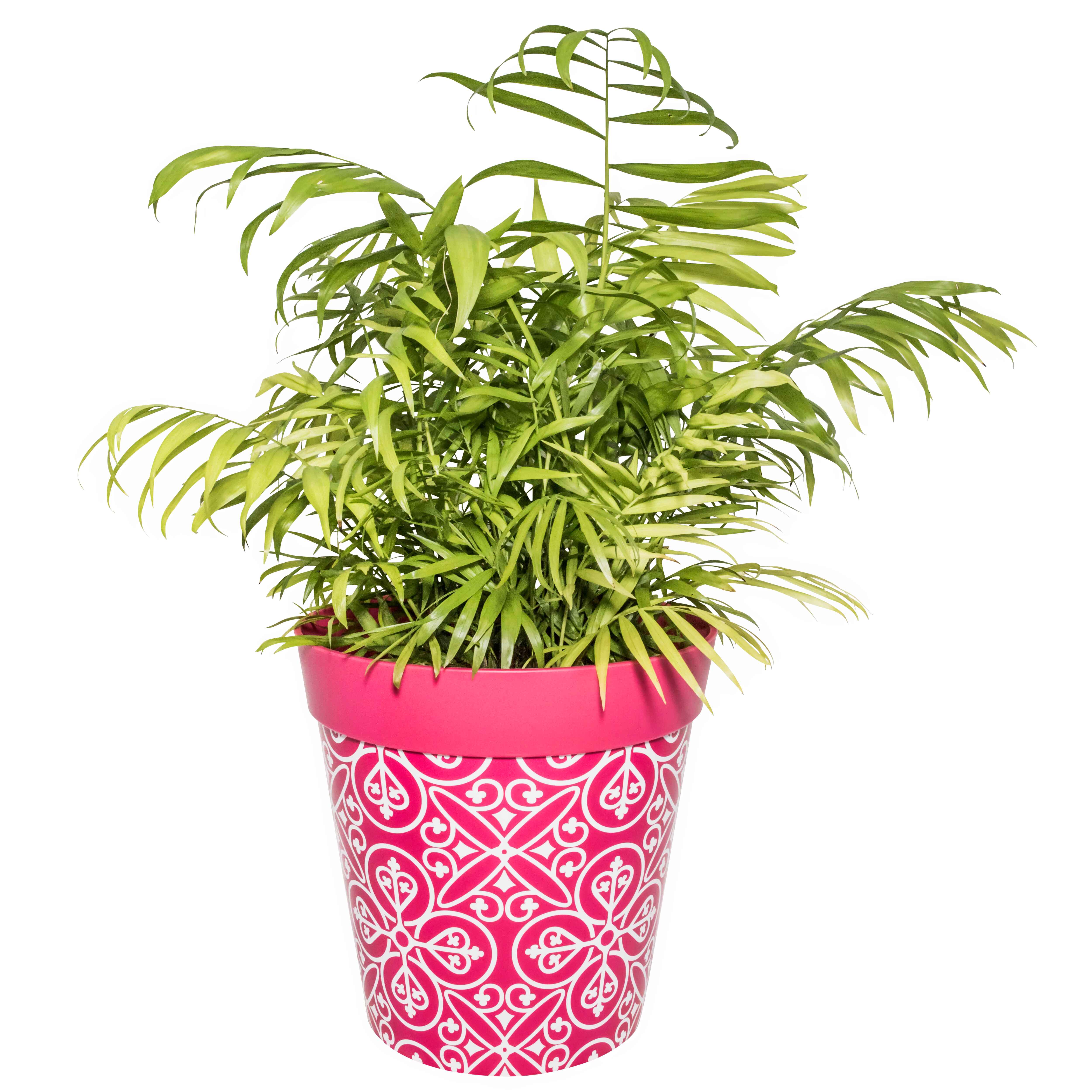 Picture of Large 25cm Planted Plastic Pink Moroccan Pattern Indoor/Outdoor Flower Pots