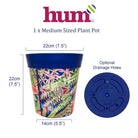 infographic showing dimensions and base of plant pot