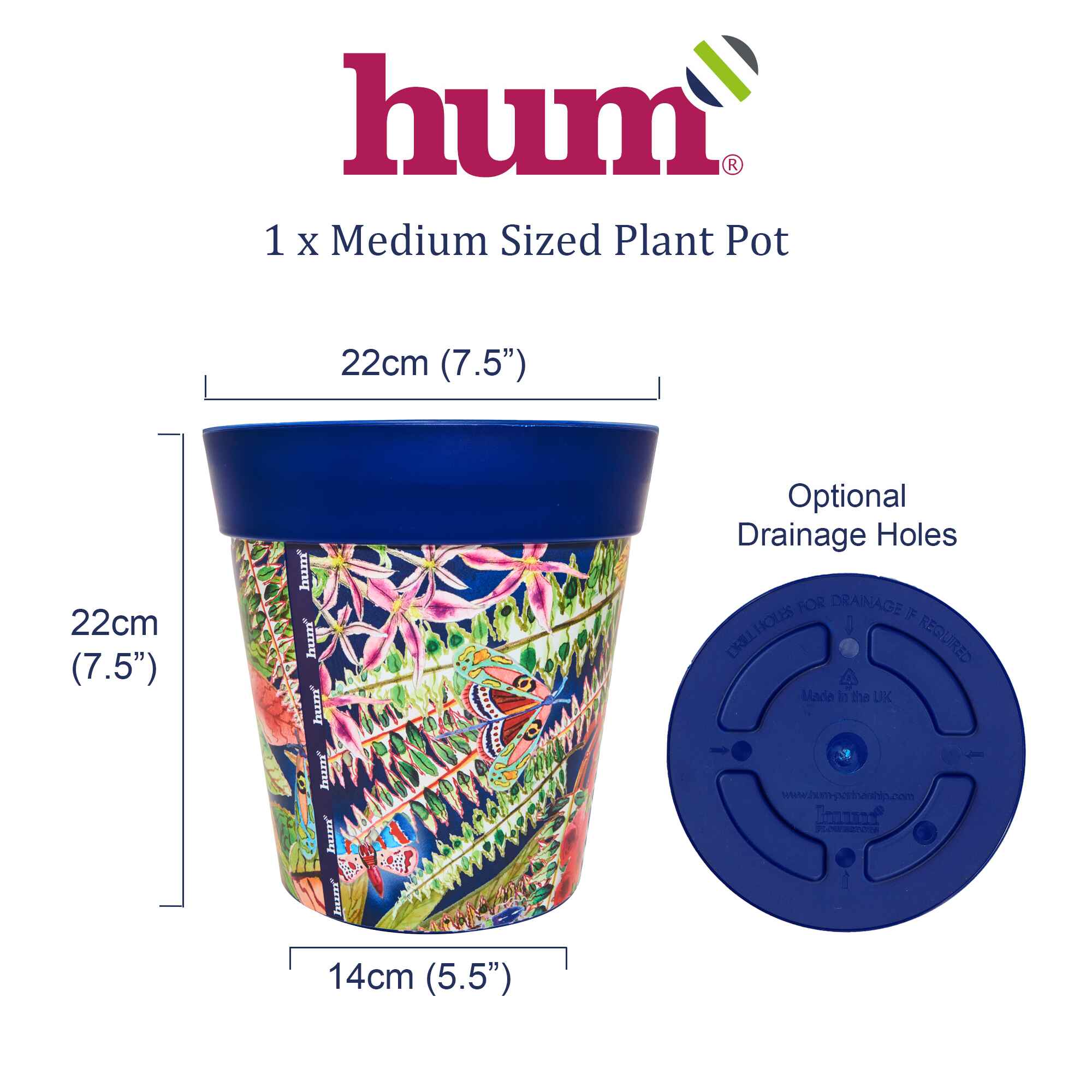 infographic showing dimensions and base of plant pot