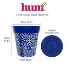 infographic showing dimensions and base of plant pot
