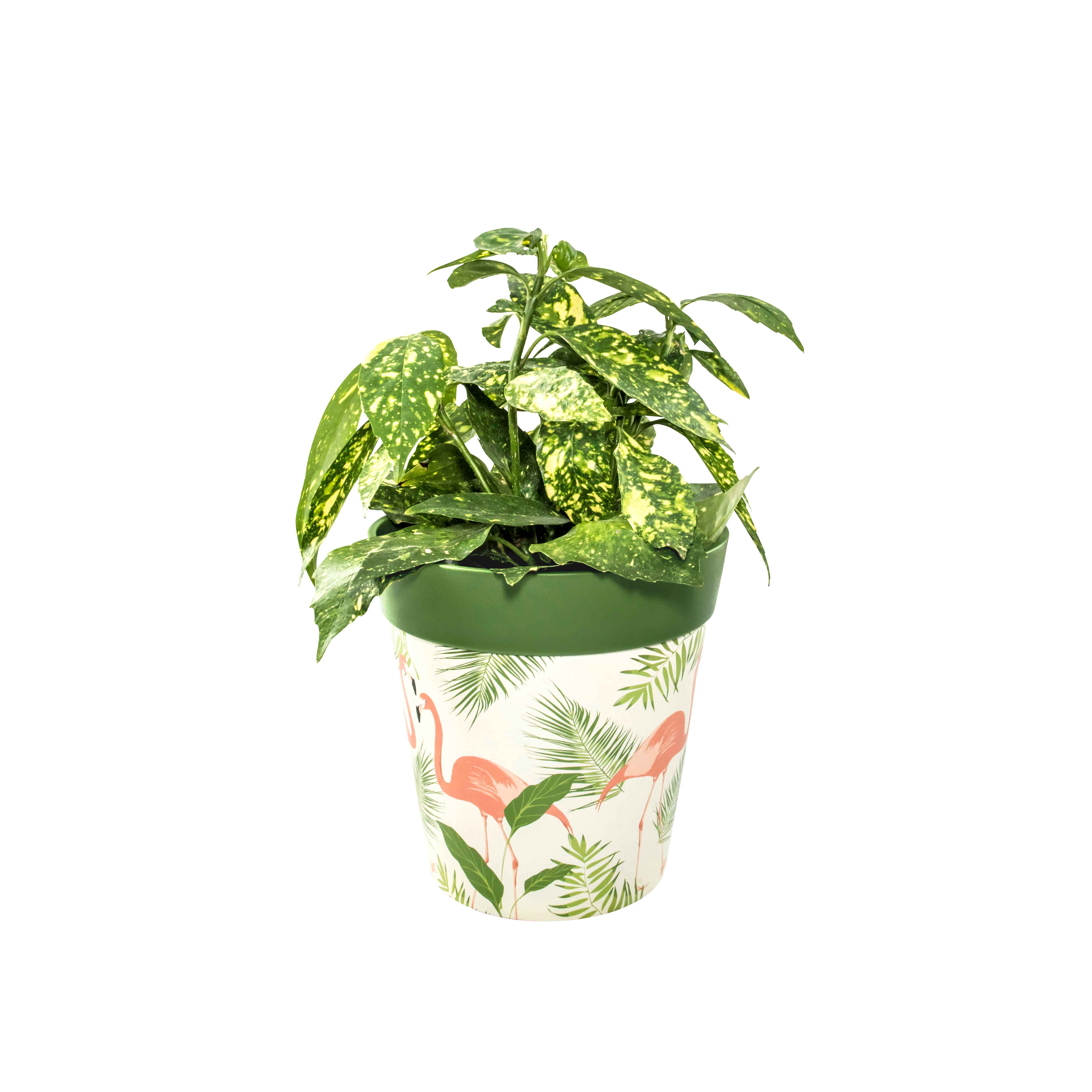 Picture of Planted Medium 22cm Green Flamingo Pattern Plastic Indoor/Outdoor Flowerpot 