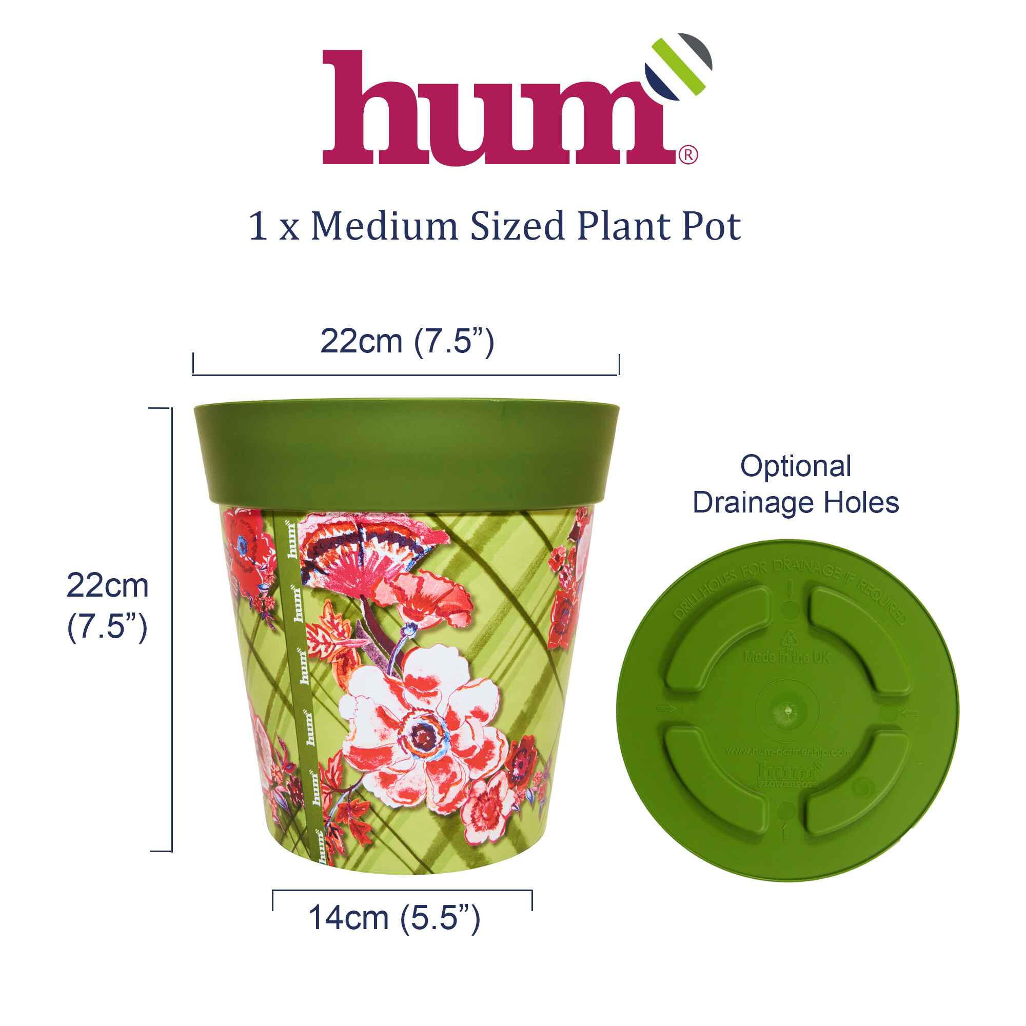 infographic showing dimensions and base of plant pot