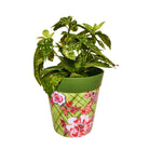 Picture of Planted Medium 22cm Green Floral Trellis Pattern Plastic Indoor/Outdoor Flowerpot