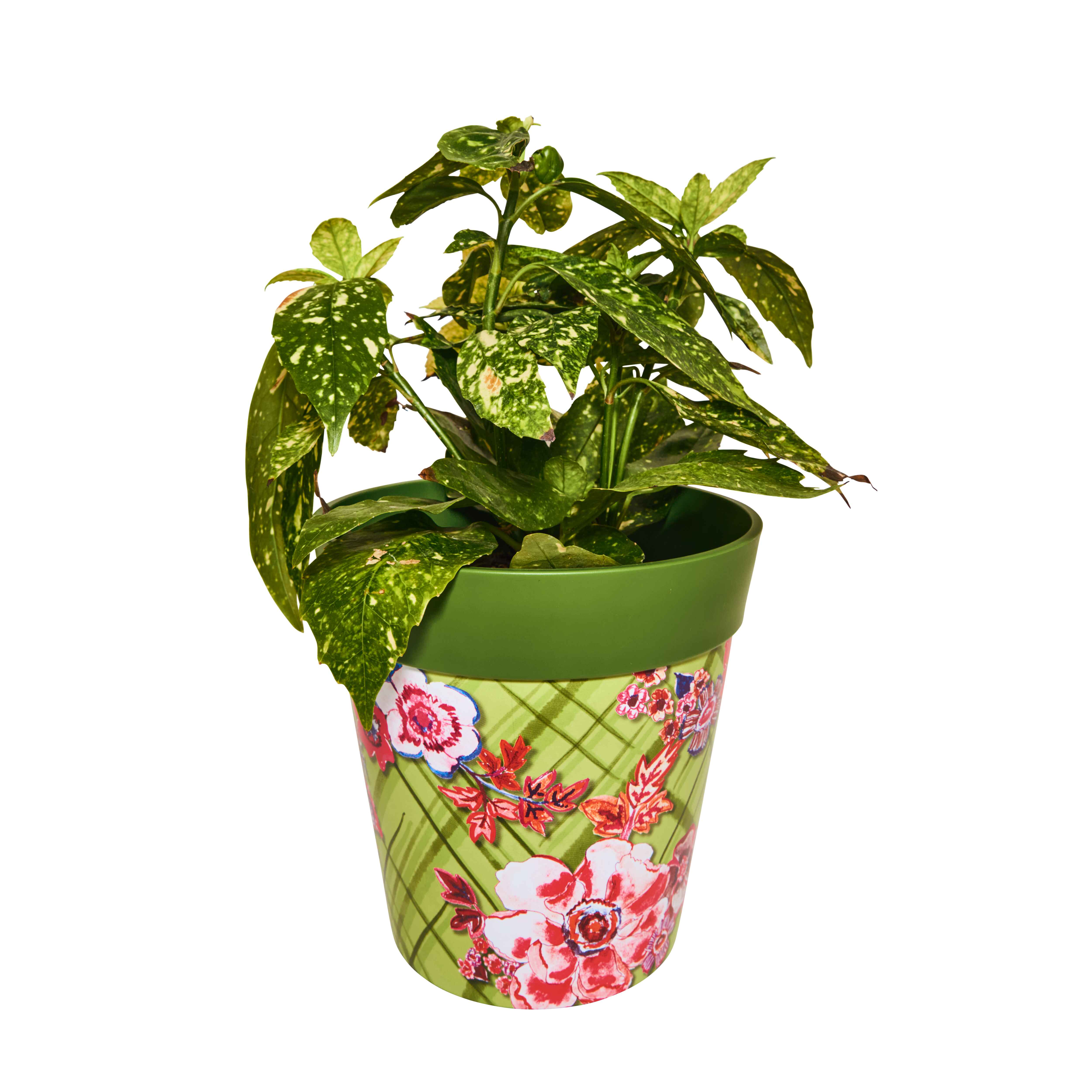 Picture of Planted Medium 22cm Green Floral Trellis Pattern Plastic Indoor/Outdoor Flowerpot