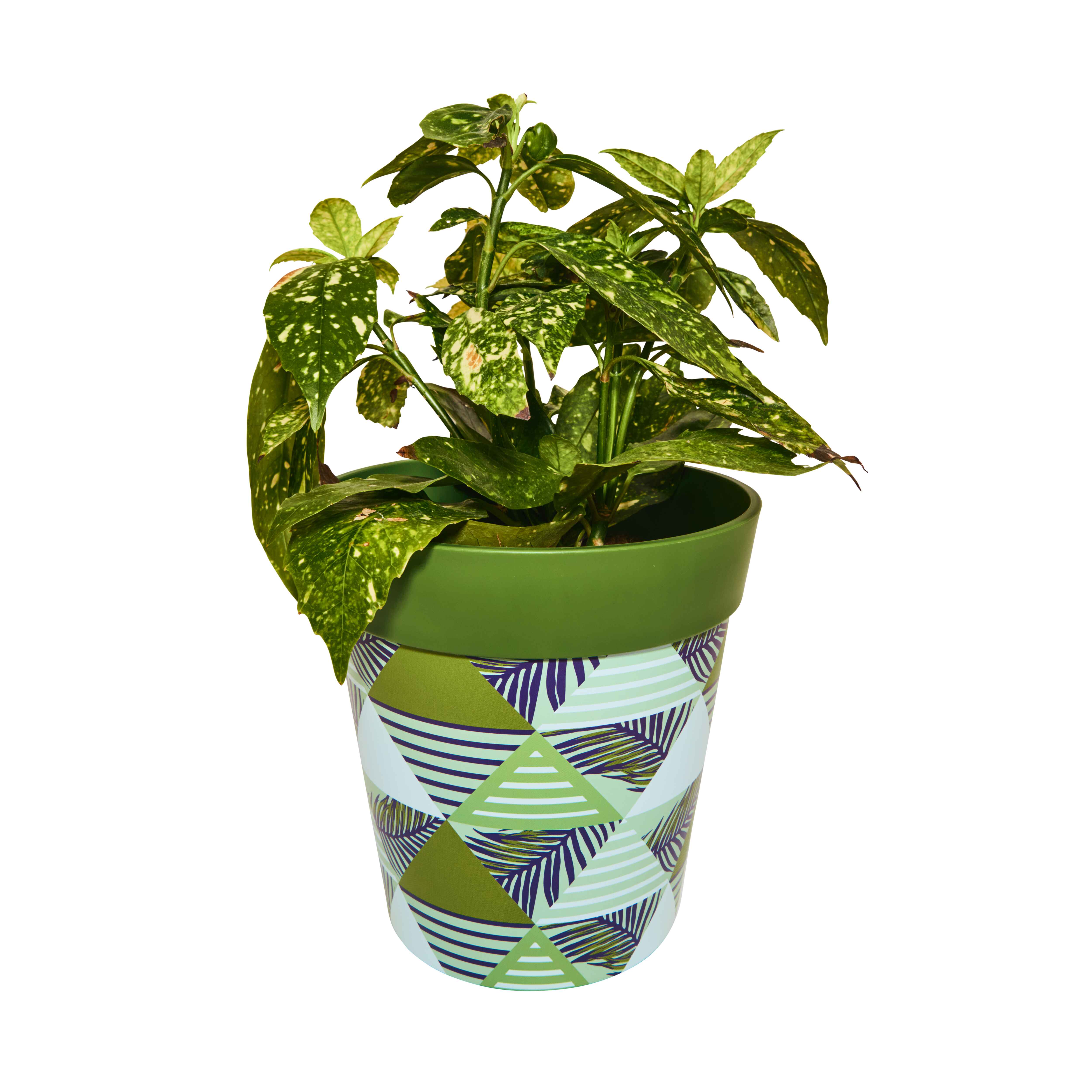 Picture of Planted Medium 22cm Green Geometric Pattern Plastic Indoor/Outdoor Flowerpot