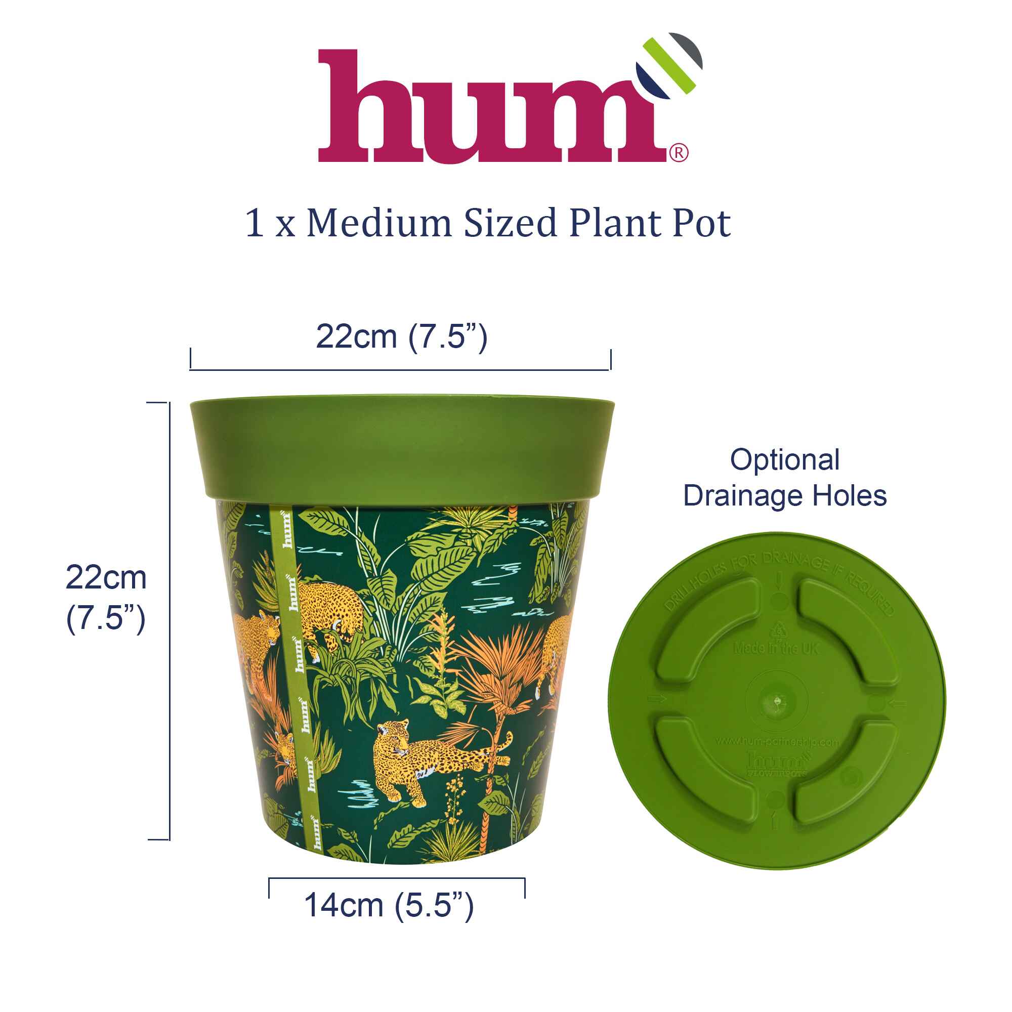 infographic showing dimensions and base of plant pot