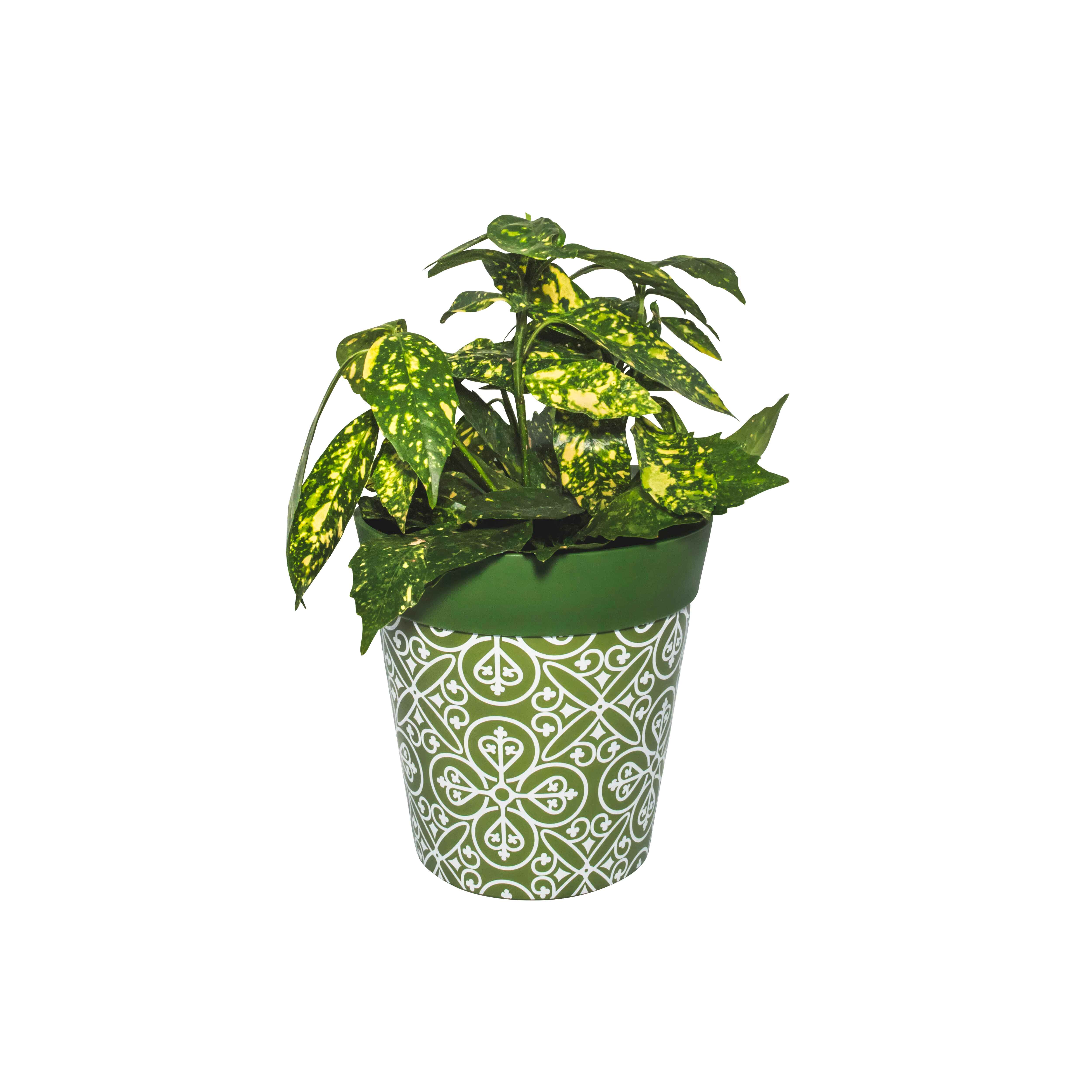 Picture of Planted Medium 22cm Green Moroccan Style Pattern Plastic Indoor/Outdoor Flowerpot