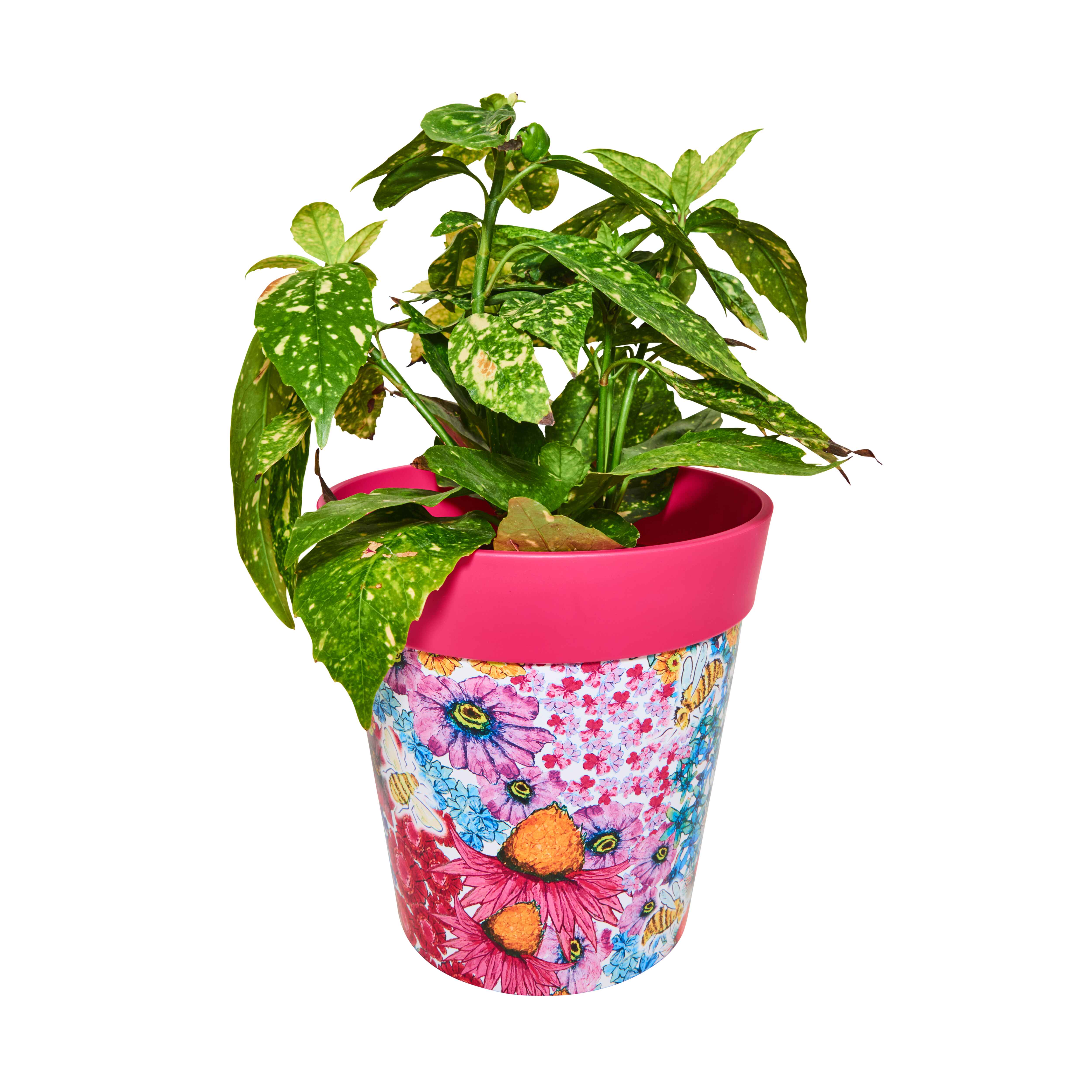 Picture of Medium 22cm Planted Plastic Pink Flowers and Bees Pattern Indoor/Outdoor Flower Pots