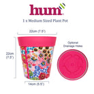 infographic showing dimensions and base of plant pot