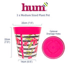 infographic showing dimensions and base of plant pot