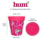 infographic showing dimensions and base of plant pot