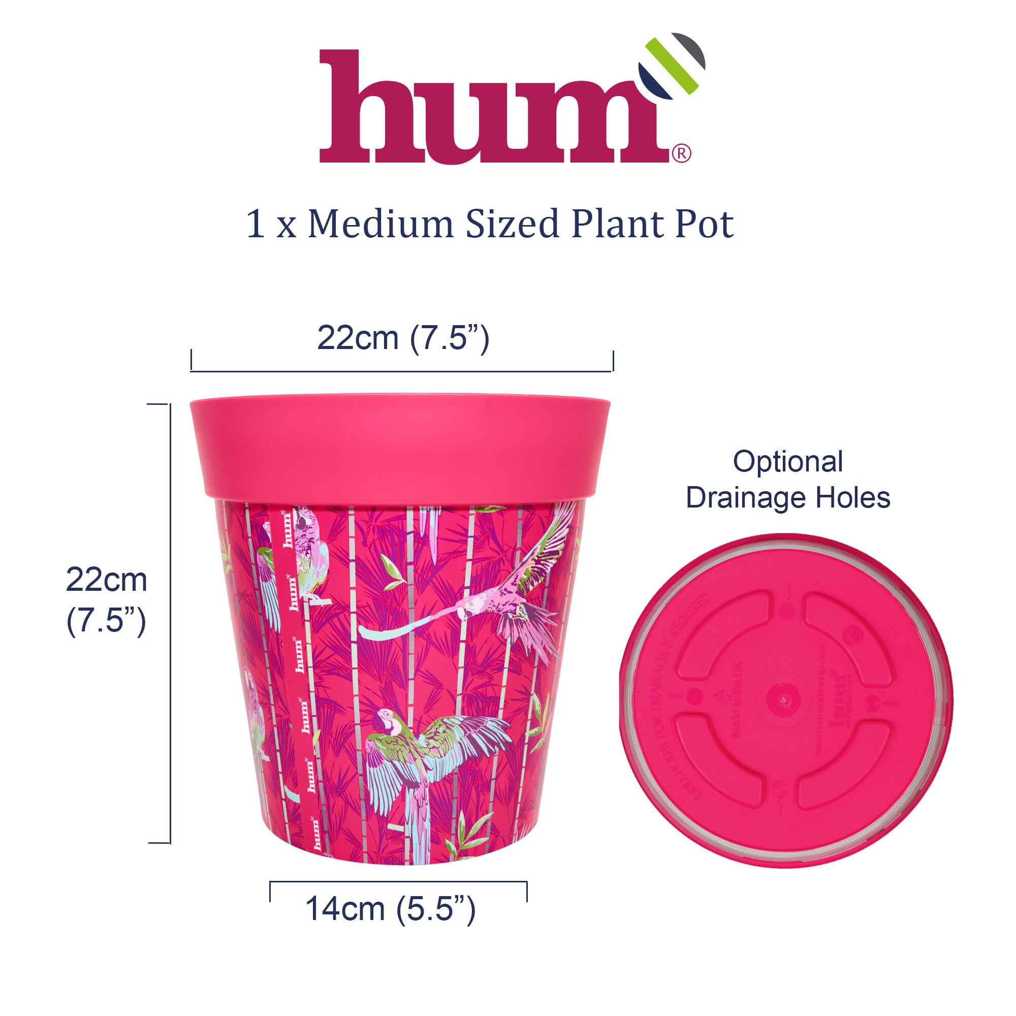 infographic showing dimensions and base of plant pot