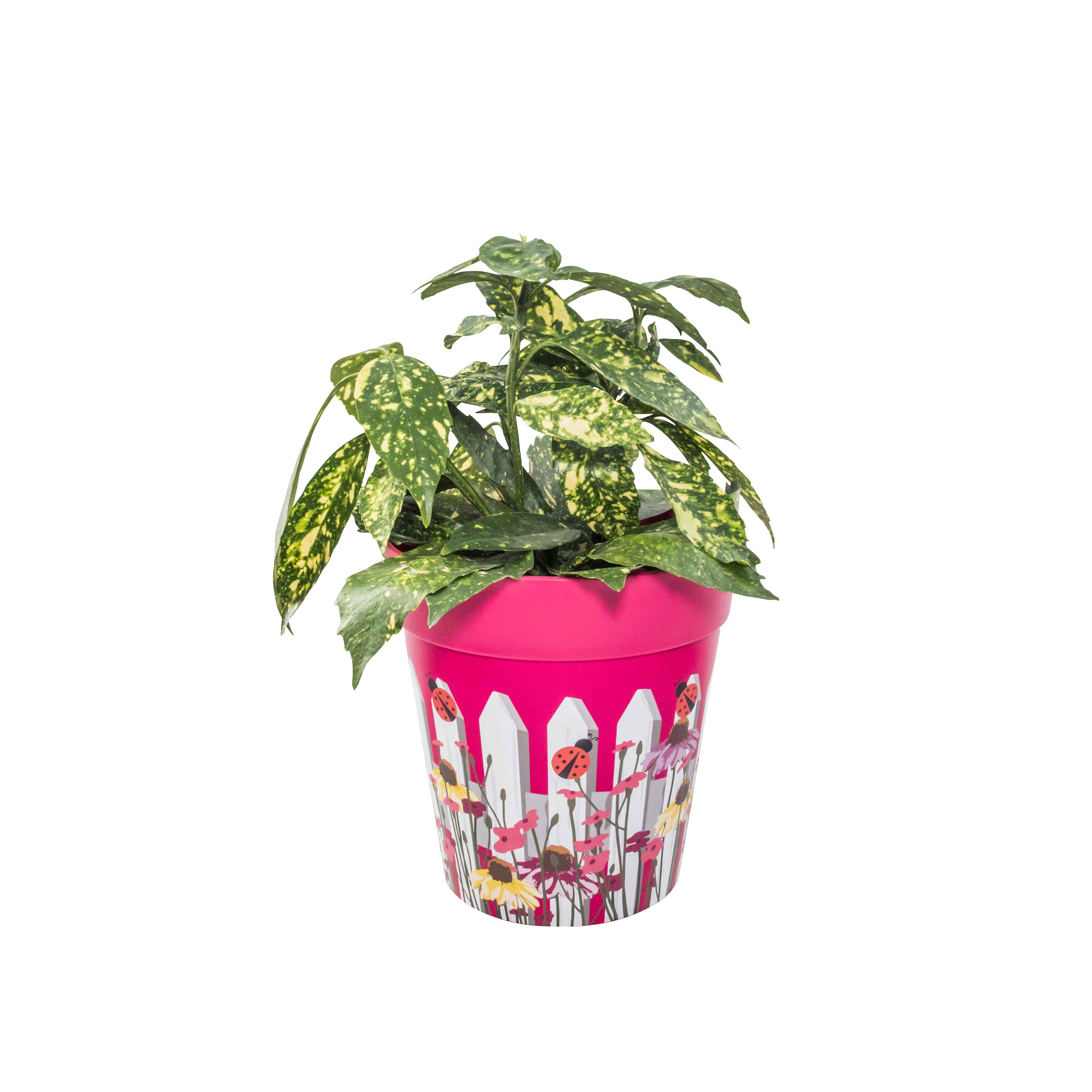 Picture of Medium 22cm Planted Plastic Pink Picket Fence Pattern Indoor/Outdoor Flower Pots