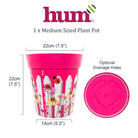 infographic showing dimensions and base of plant pot