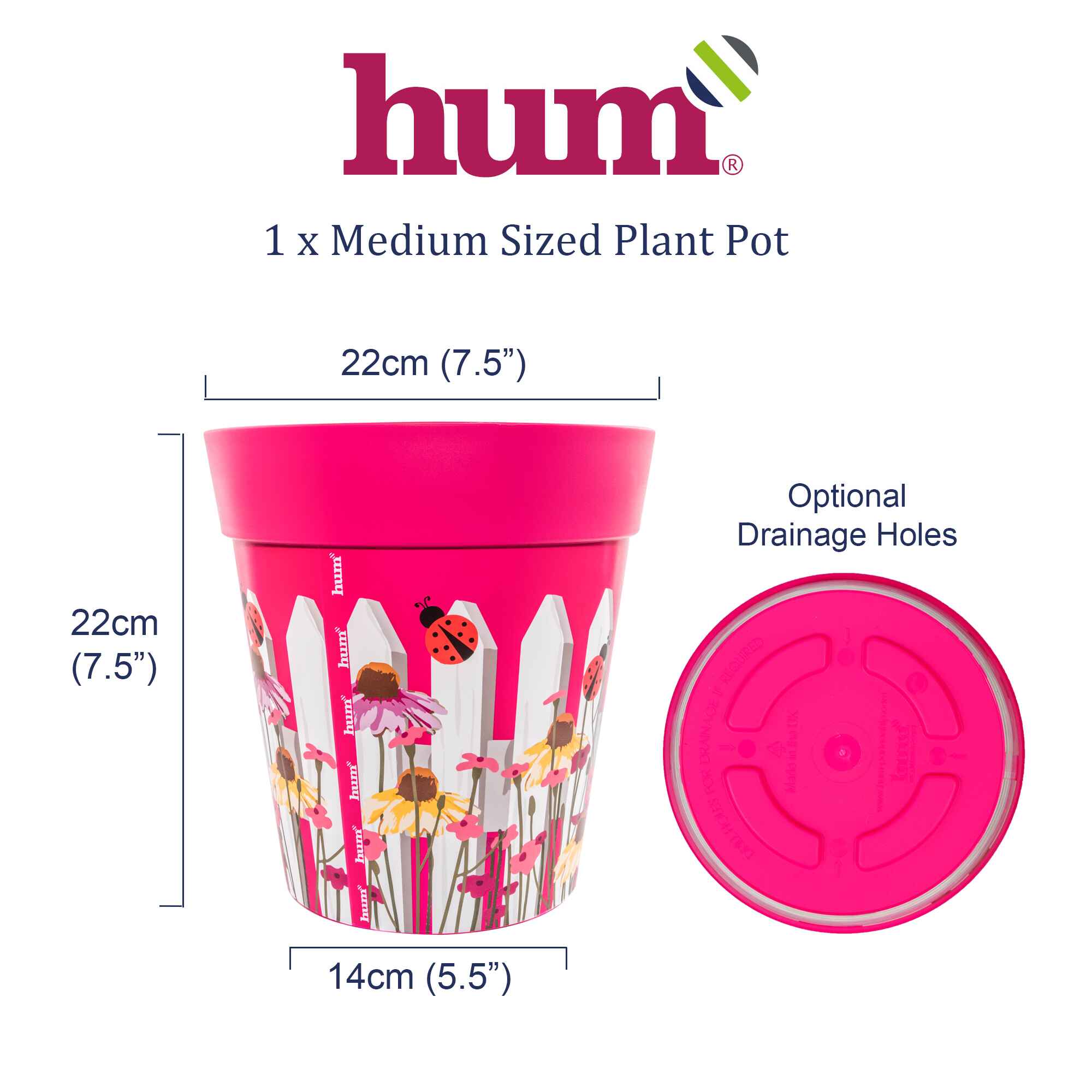 infographic showing dimensions and base of plant pot