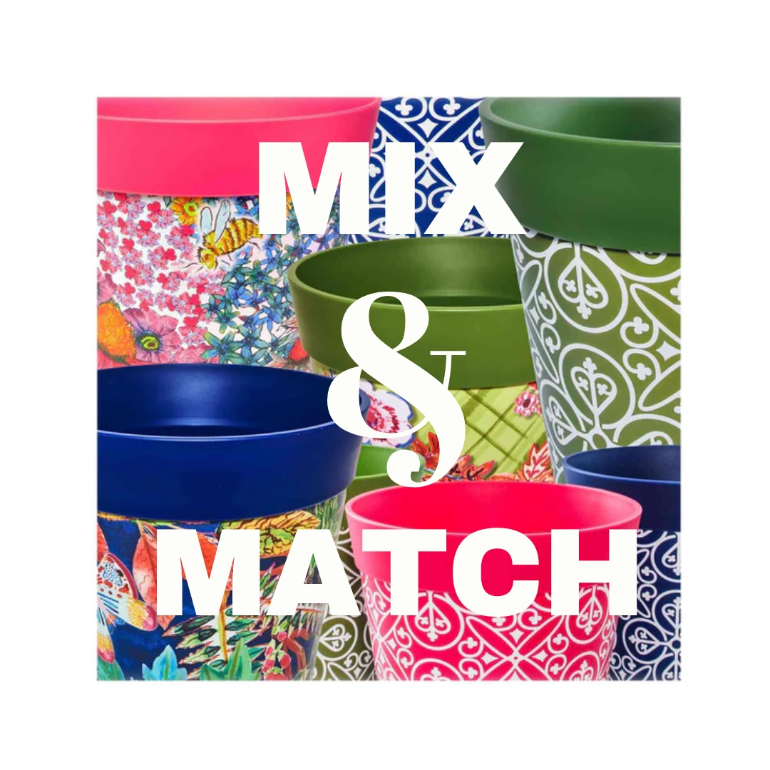 graphic illustration of the mix and match offer