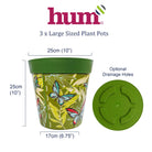 infographic showing dimensions and base of flowerpots