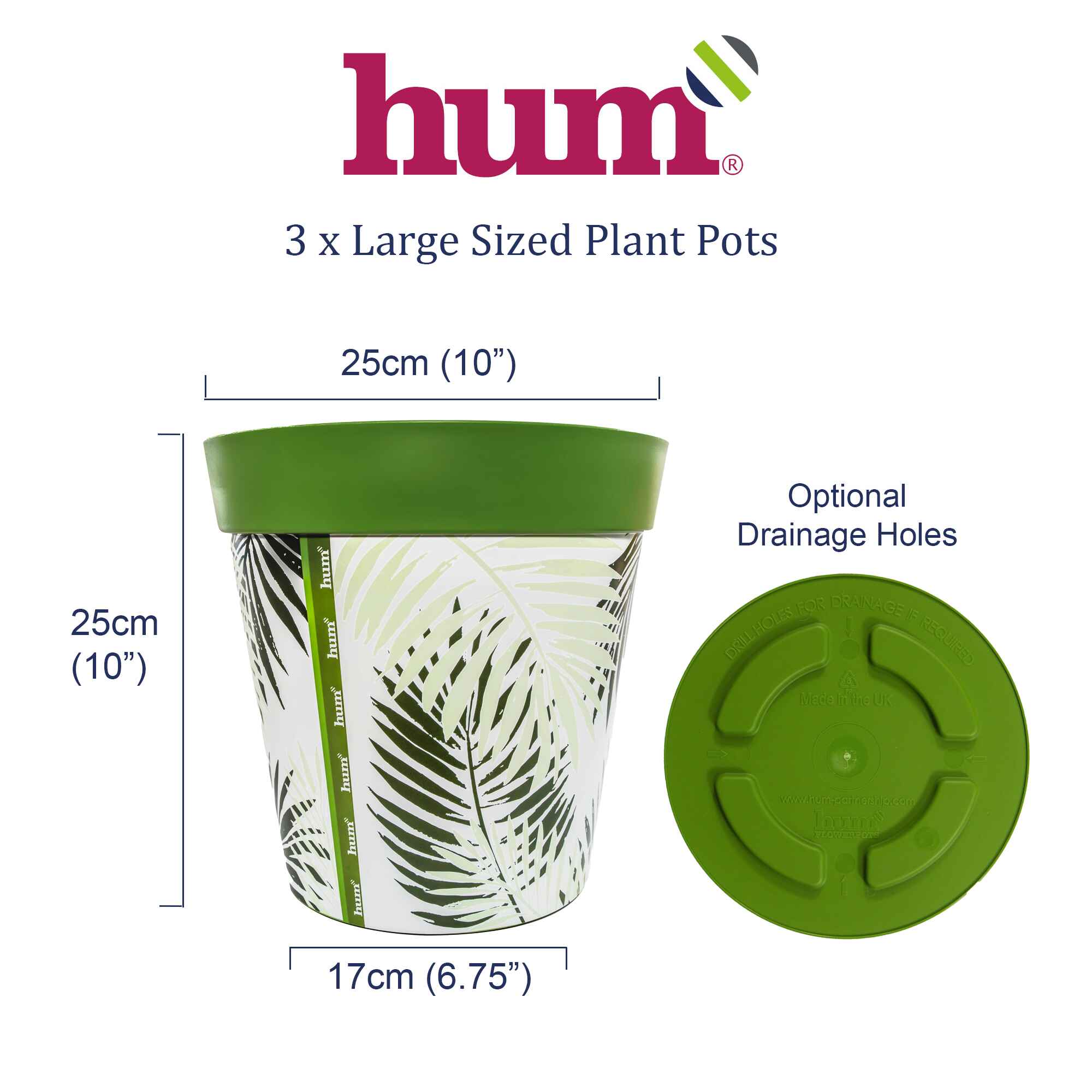infographic showing dimensions and base of flowerpots