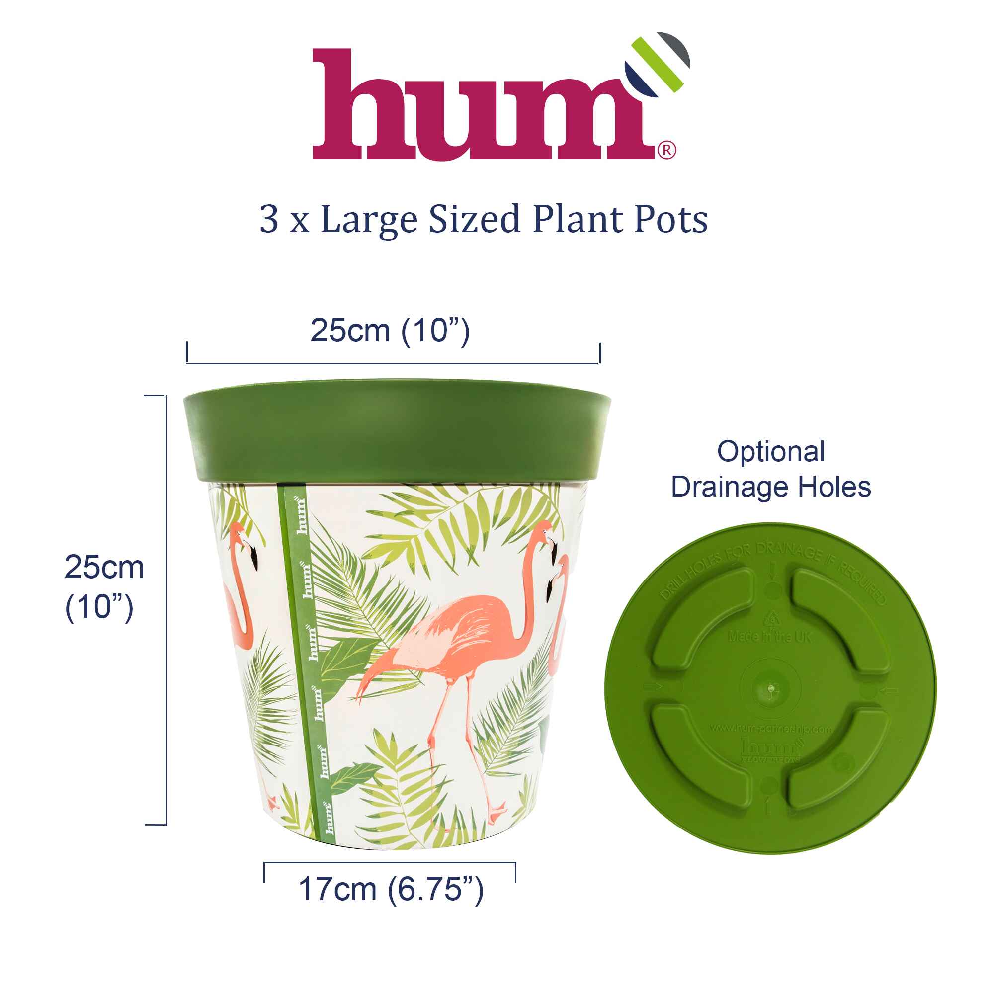 infographic showing dimensions and base of flowerpots